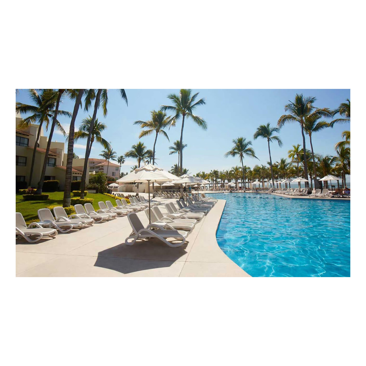 ALFA LEŻAK BIANCO BLU