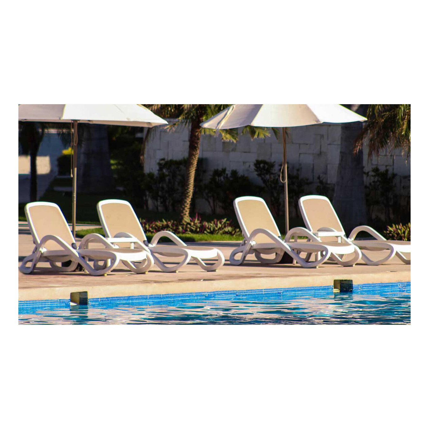 ALFA LEŻAK WHITE TORTORA