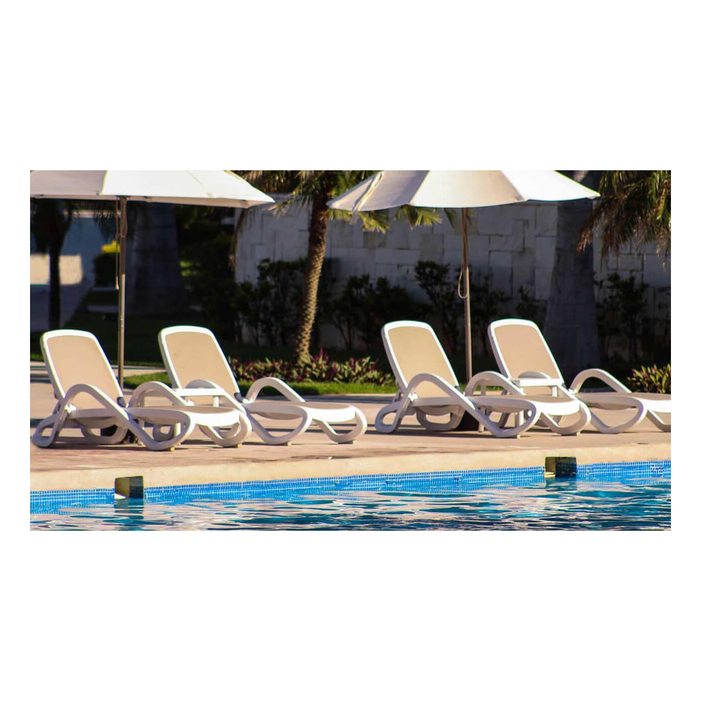 ALFA DECK CHAIR TORTORA TORTORA