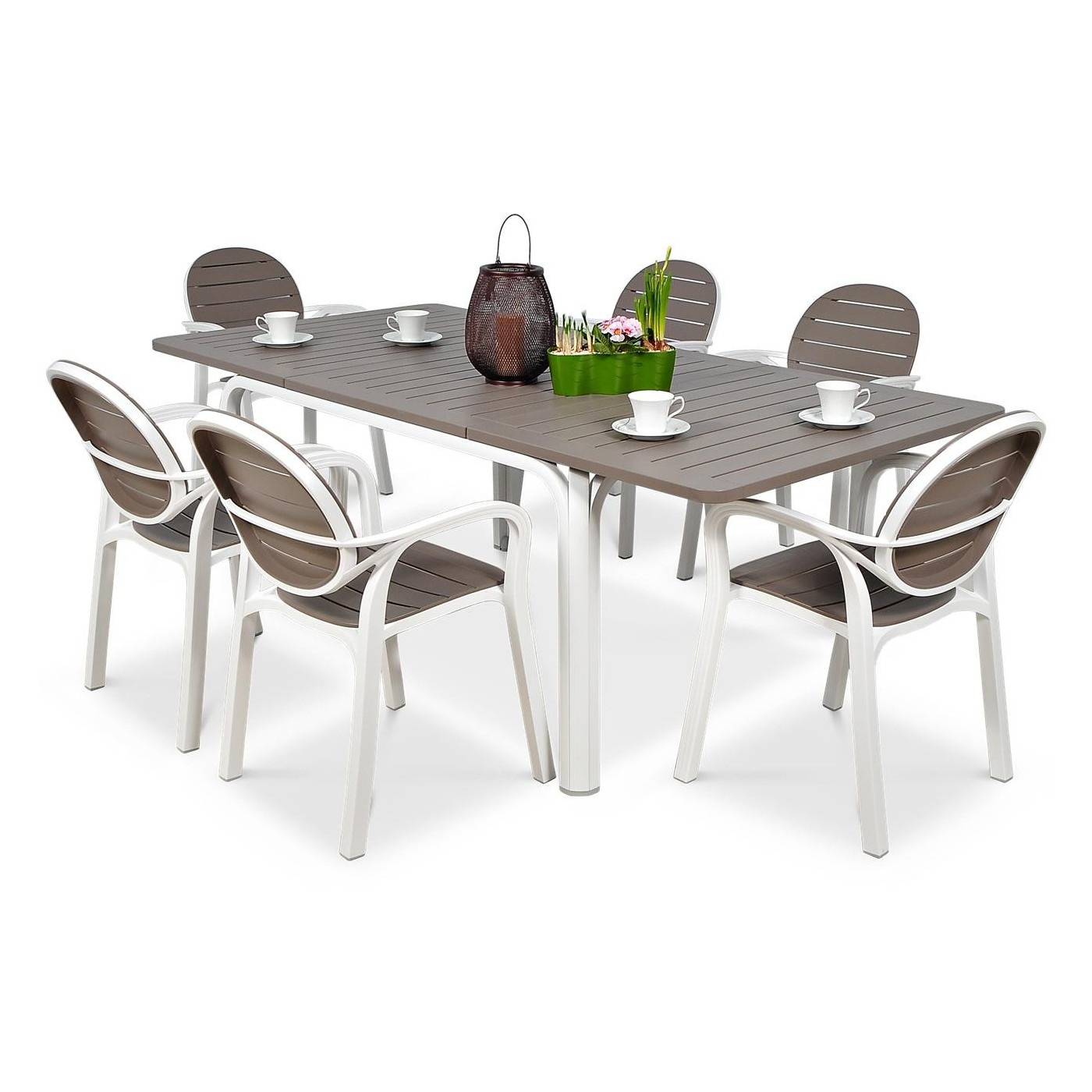 PALM/LAUREL 6/140 WHITE TORTORA SET