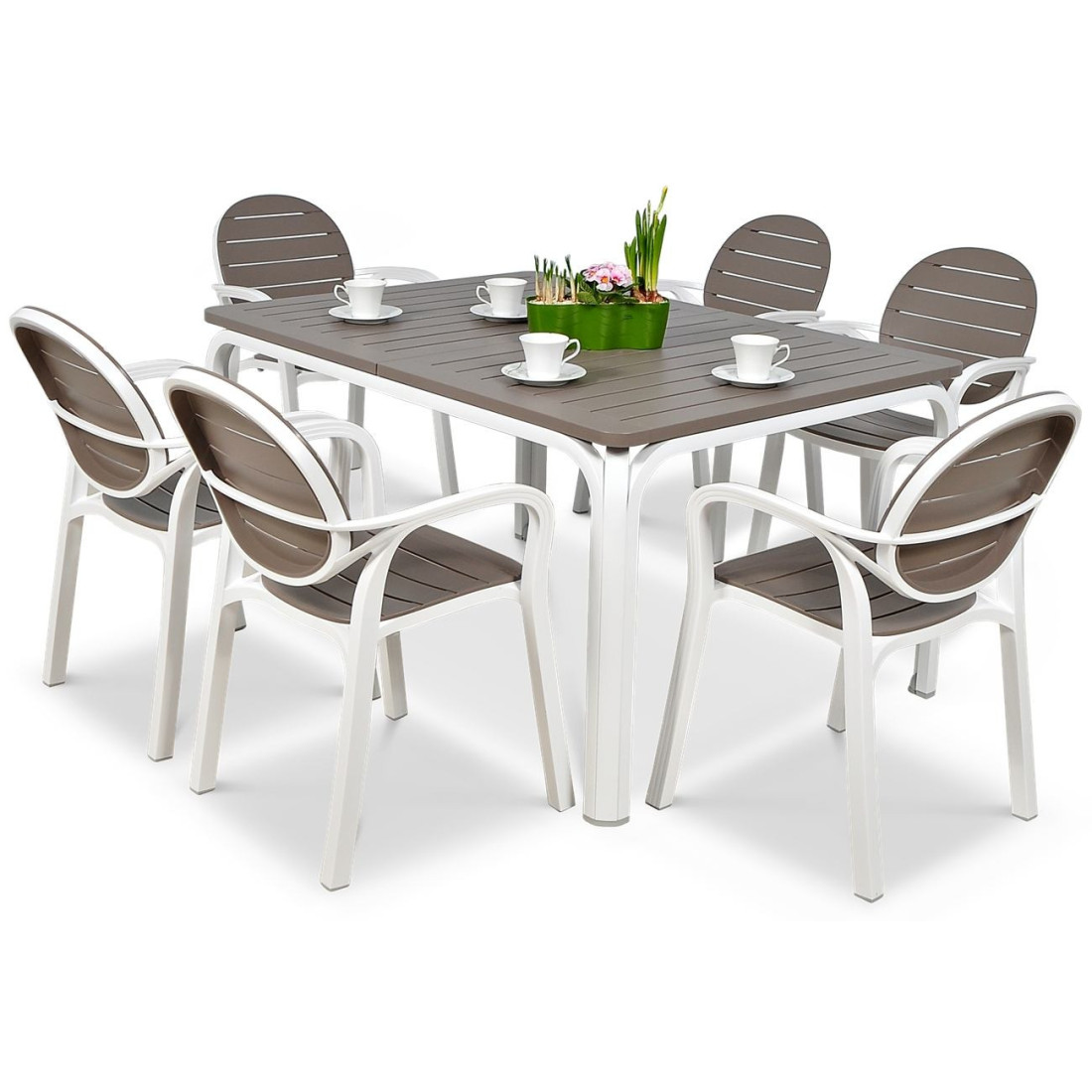 PALM/LAUREL 6/140 WHITE TORTORA SET