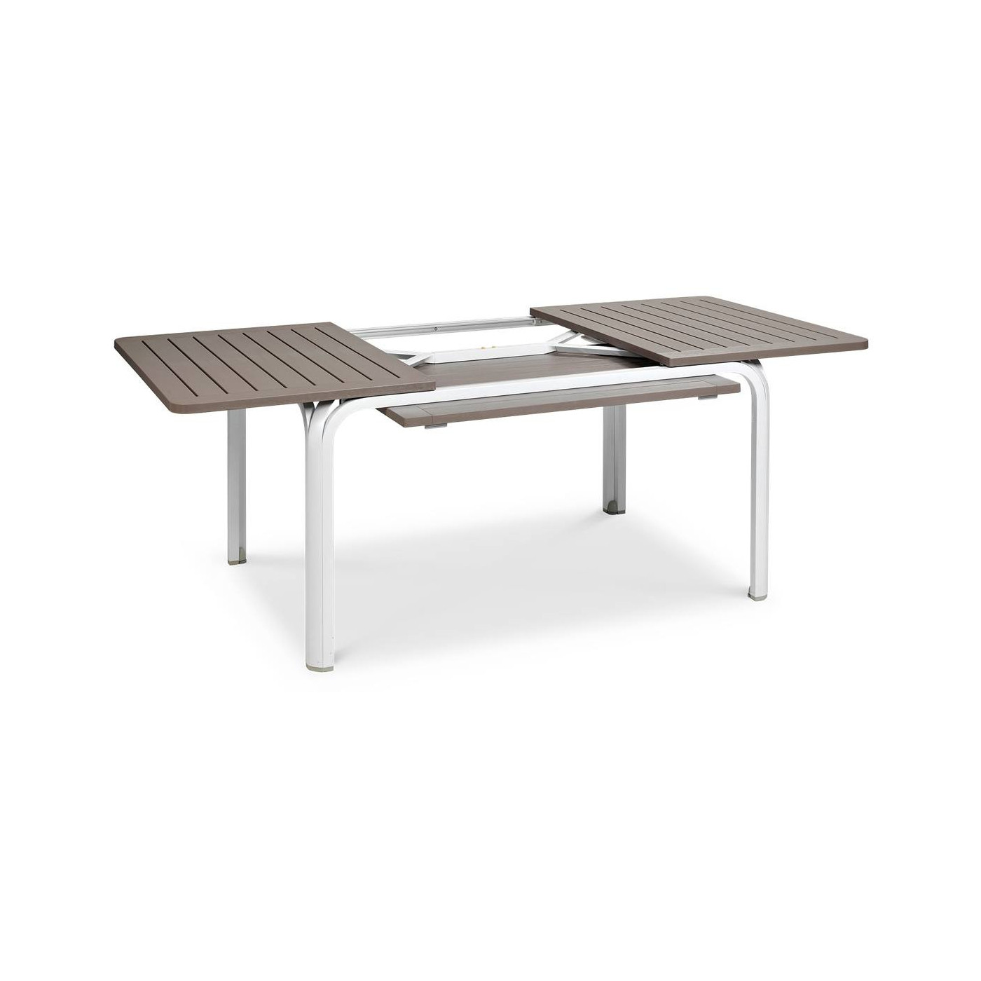 PALM/LAUREL 6/140 WHITE TORTORA SET