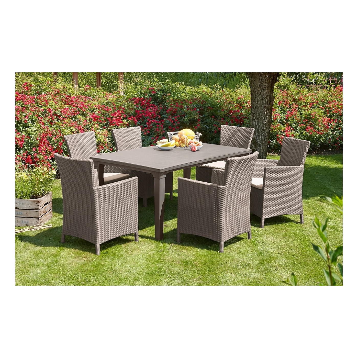 TOSCANA 6+1 CAPPUCINO SET