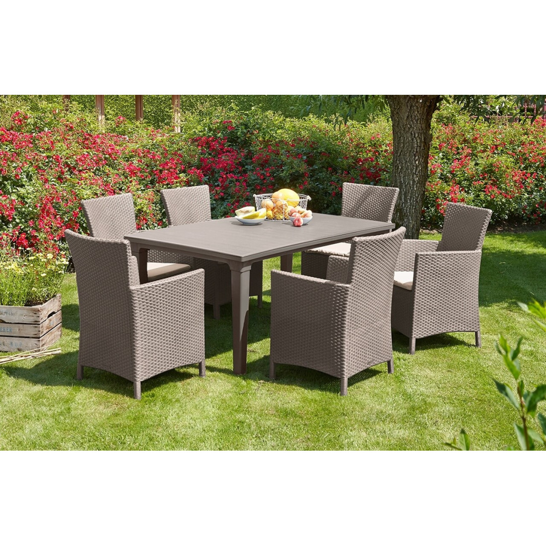 TOSCANA 6+1 CAPPUCINO SET