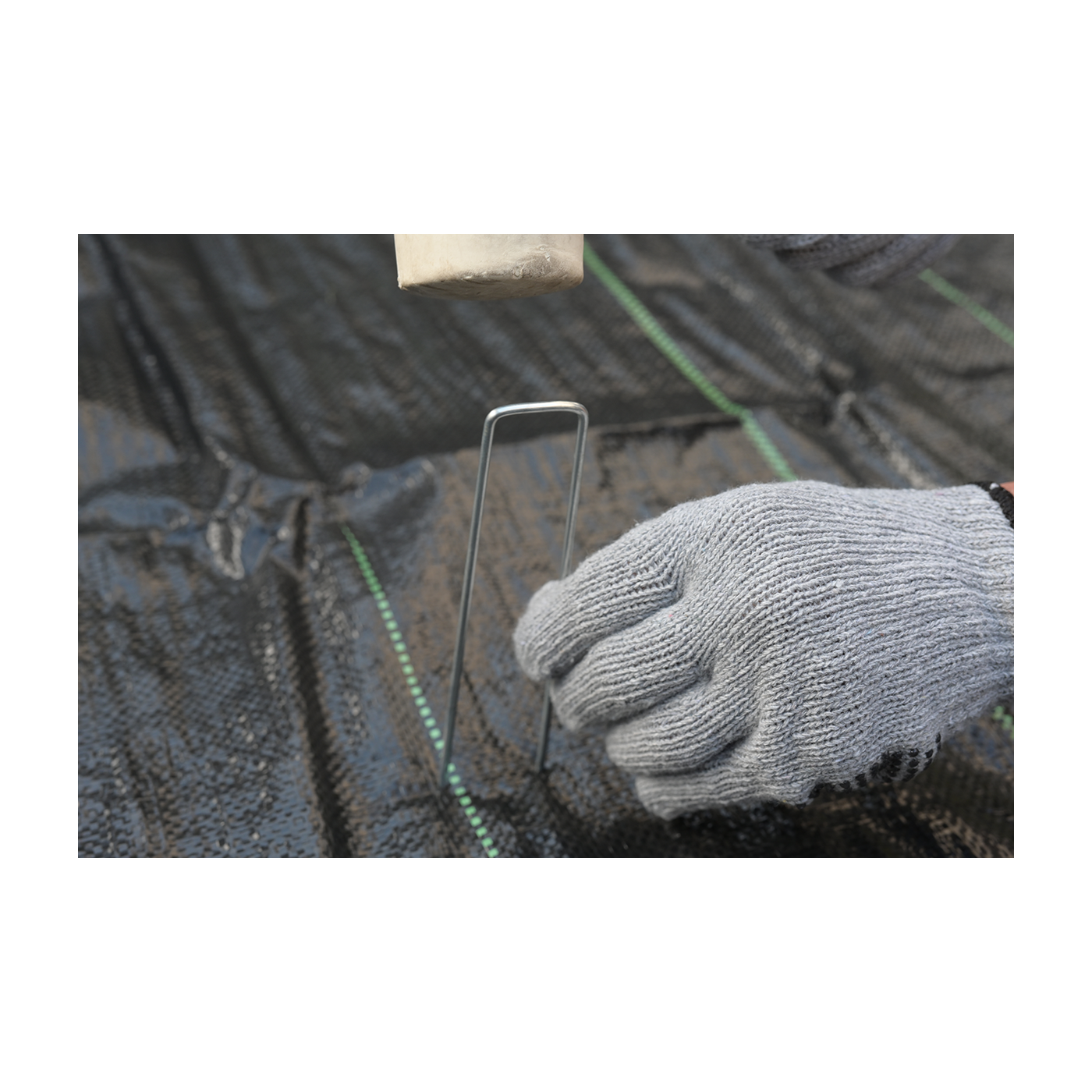 Agrowłóknina 16x50m czarna do zastosowań profesjonalnych