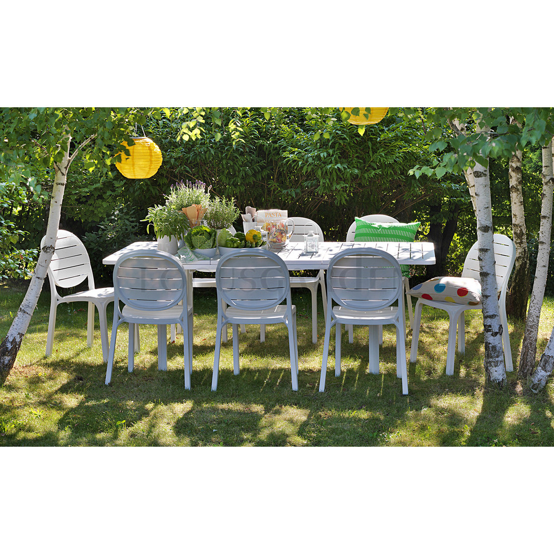 ERICA WHITE TORTORA CHAIR