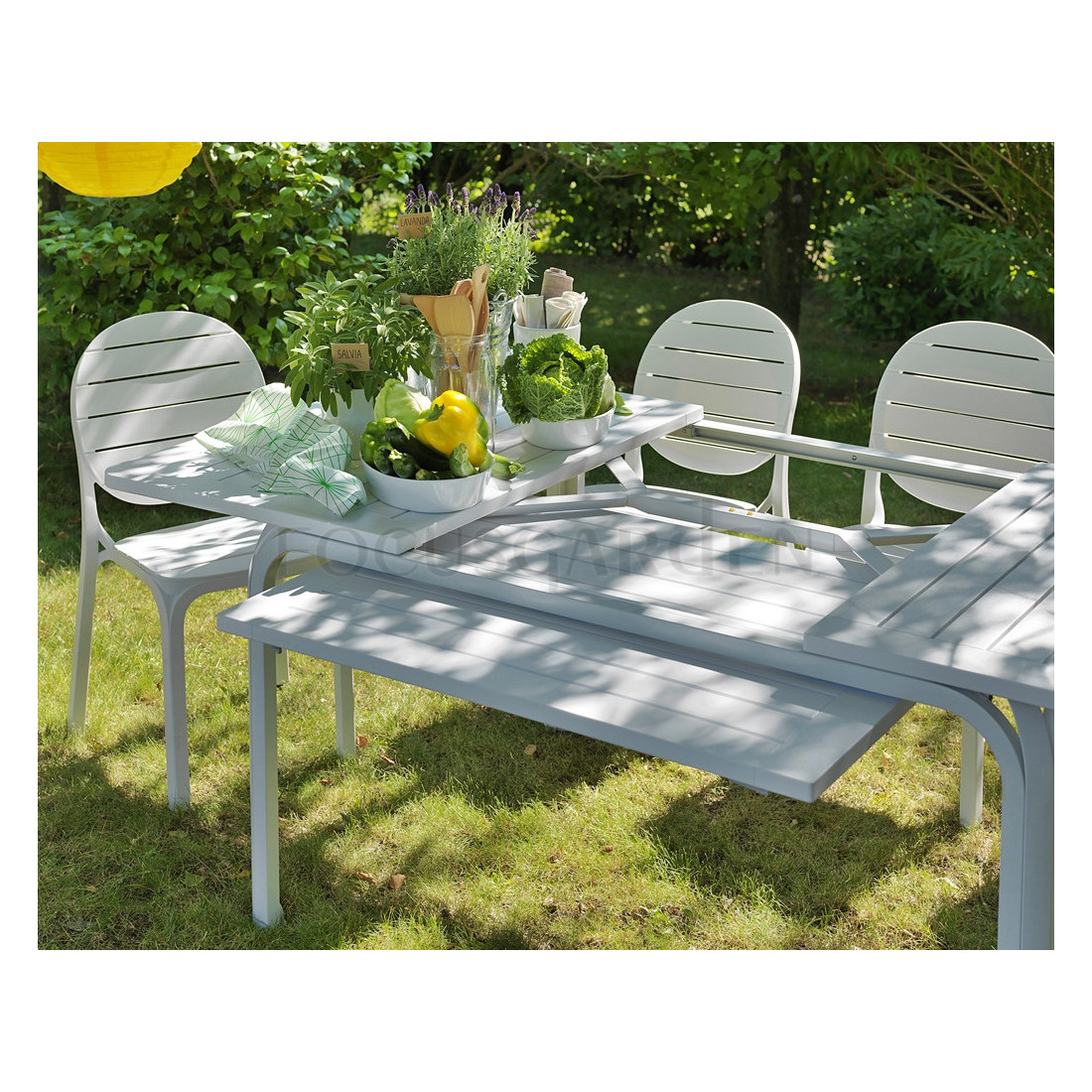 ERICA WHITE TORTORA CHAIR