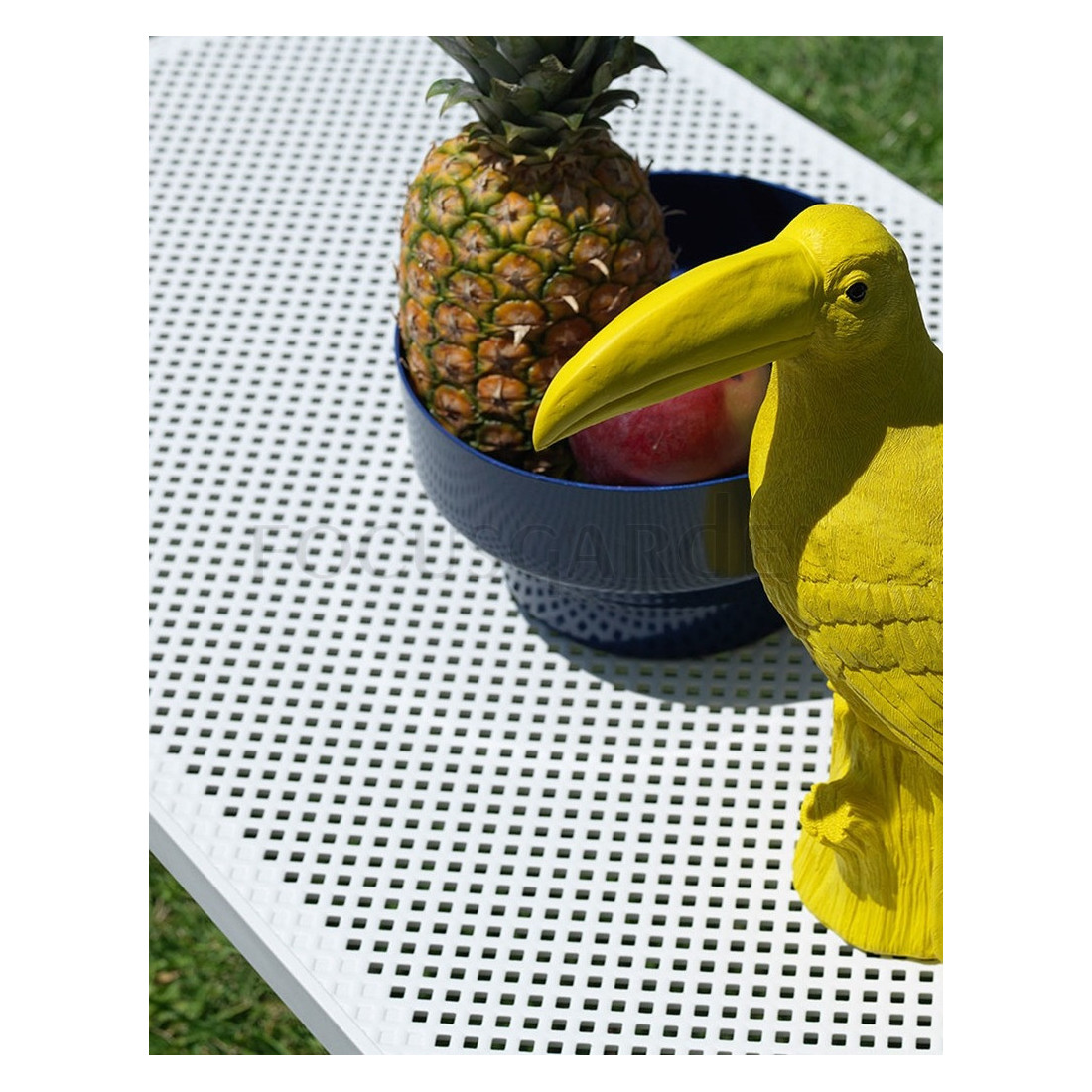 NET 100 SENAPE TABLE