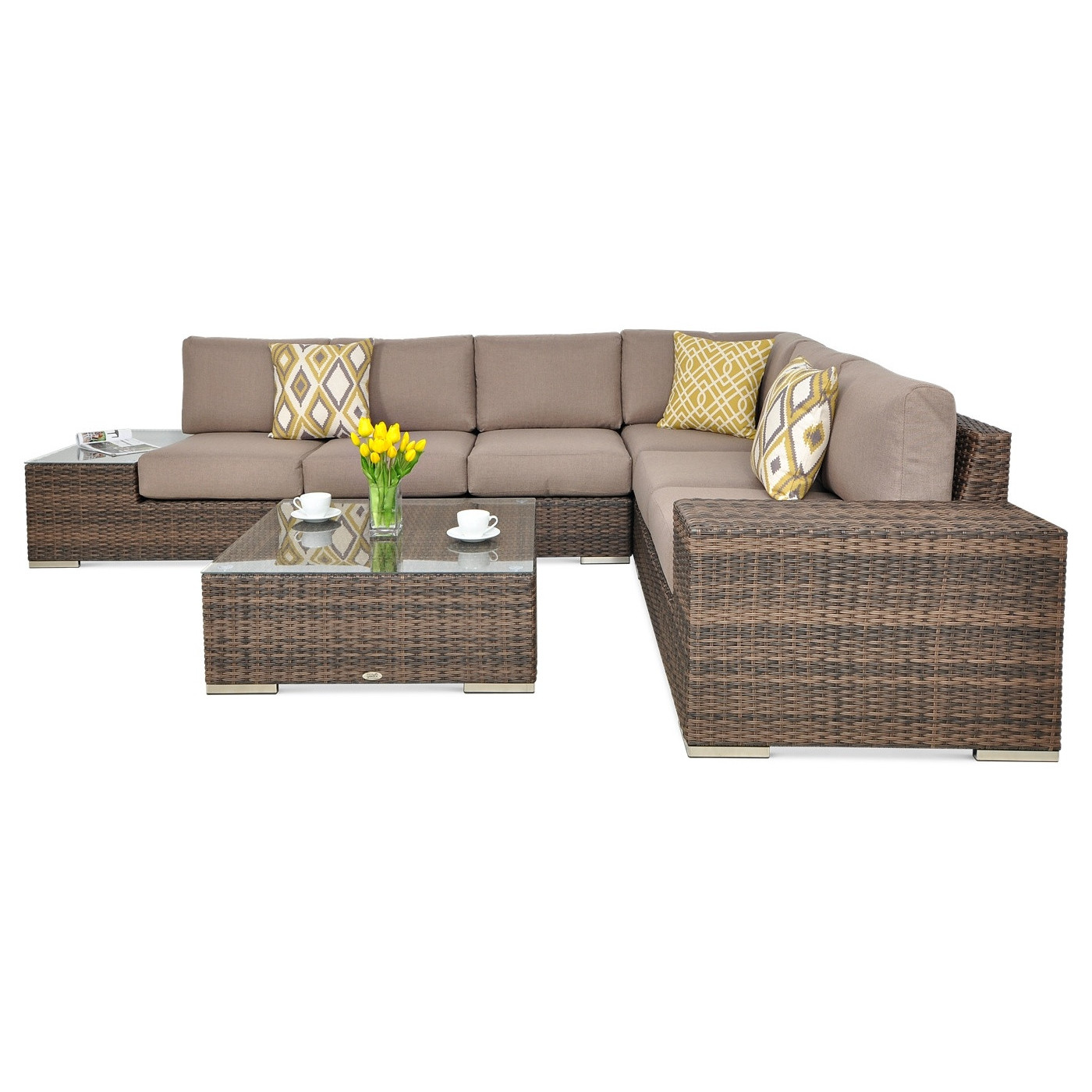 AVOCADO CORNER BROWN