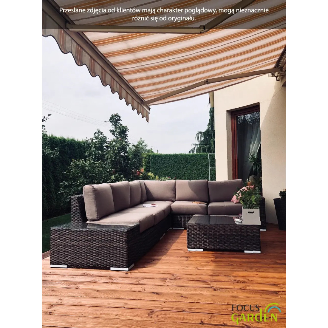 AVOCADO CORNER BROWN