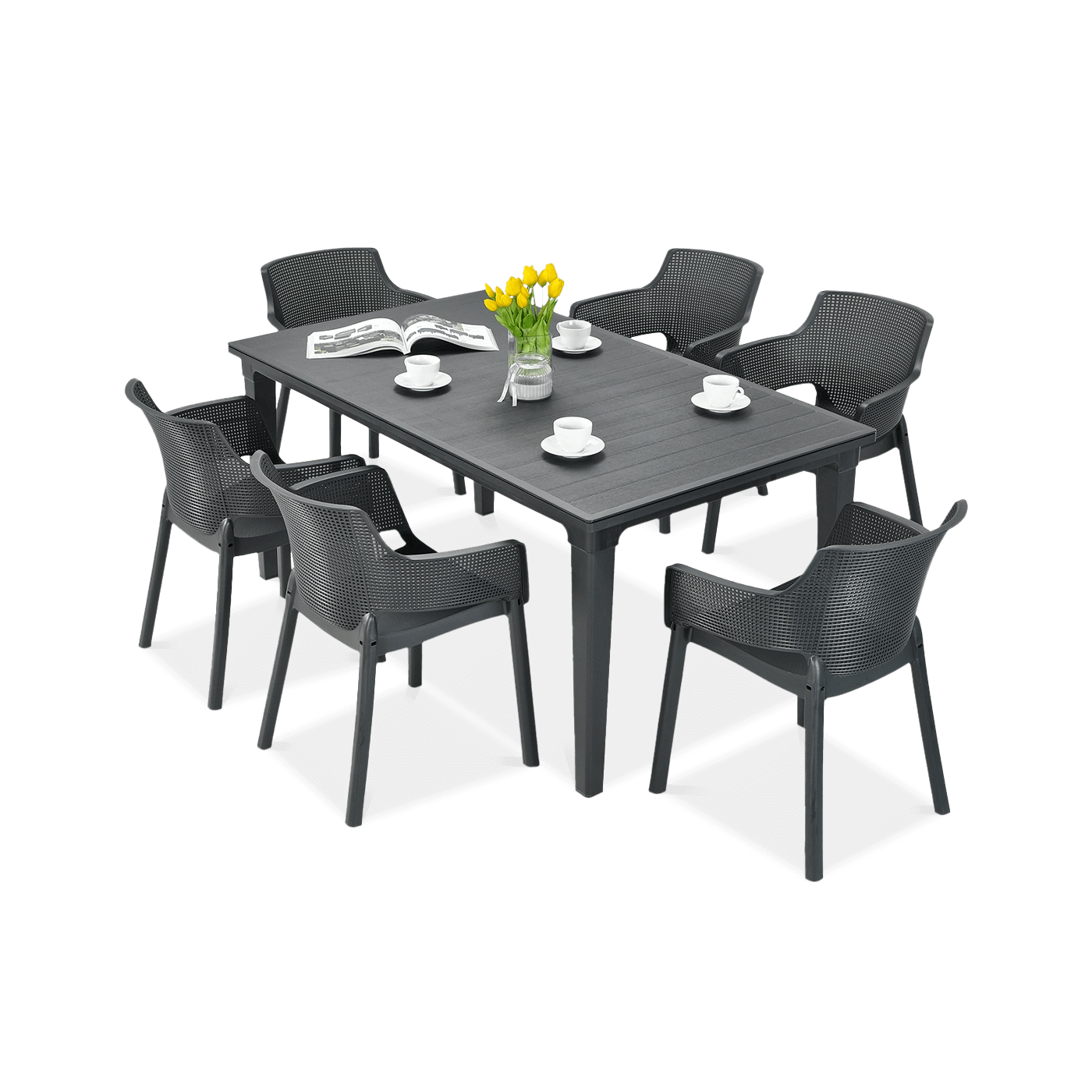 ELISA/FUTURA 6+1 ZESTAW GRAPHITE