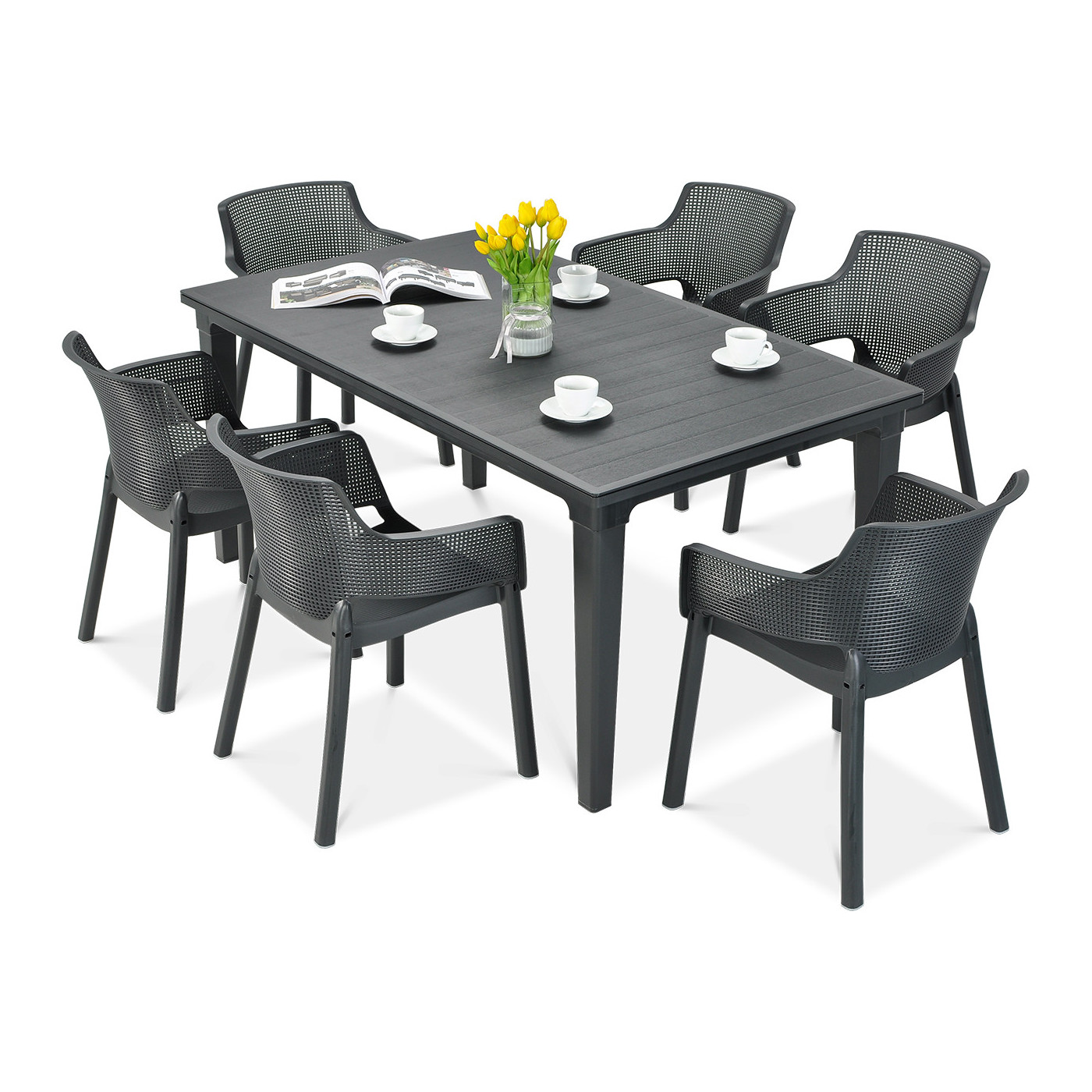 ELISA/FUTURA 6+1 GRAPHITE SET