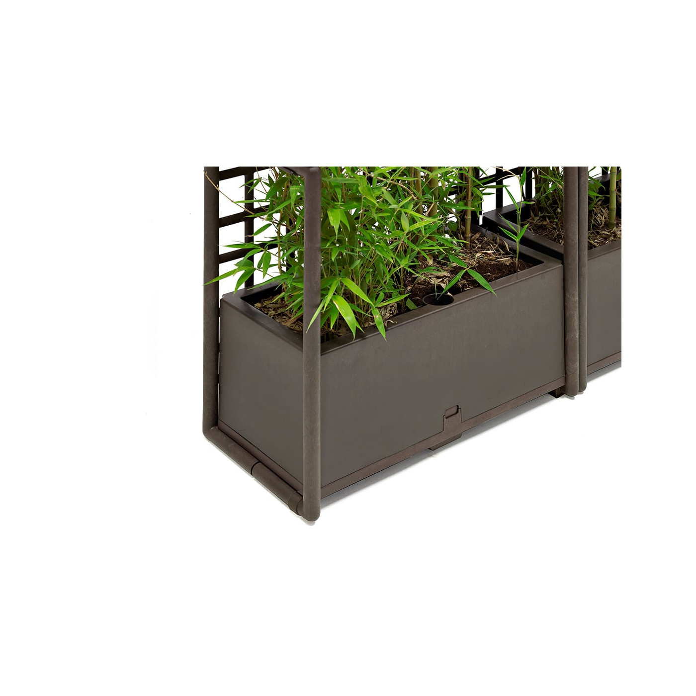 CURTAIN 3 ŚCIANA TERRA