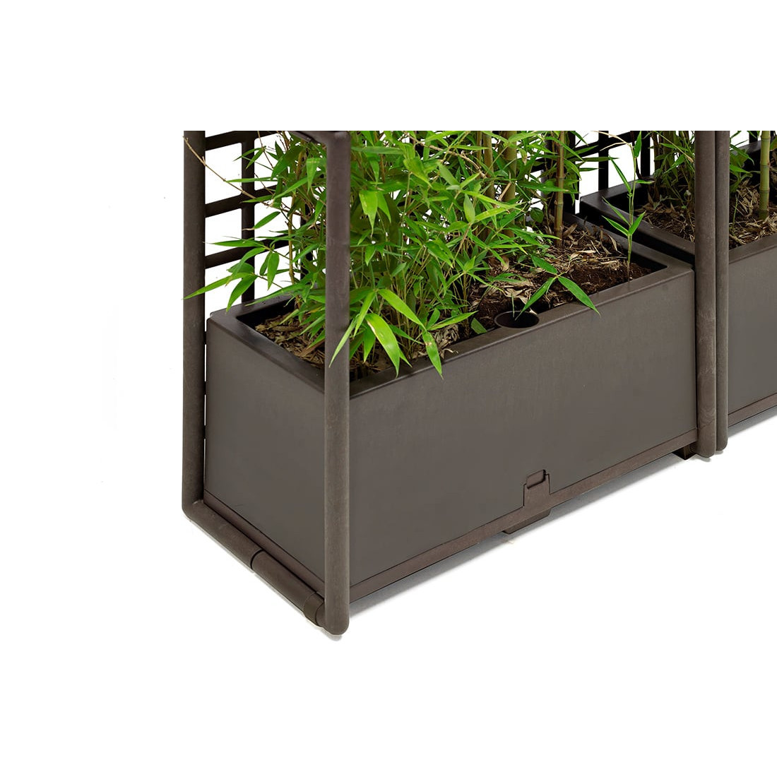 SIPARIO 3 ŚCIANA TERRA