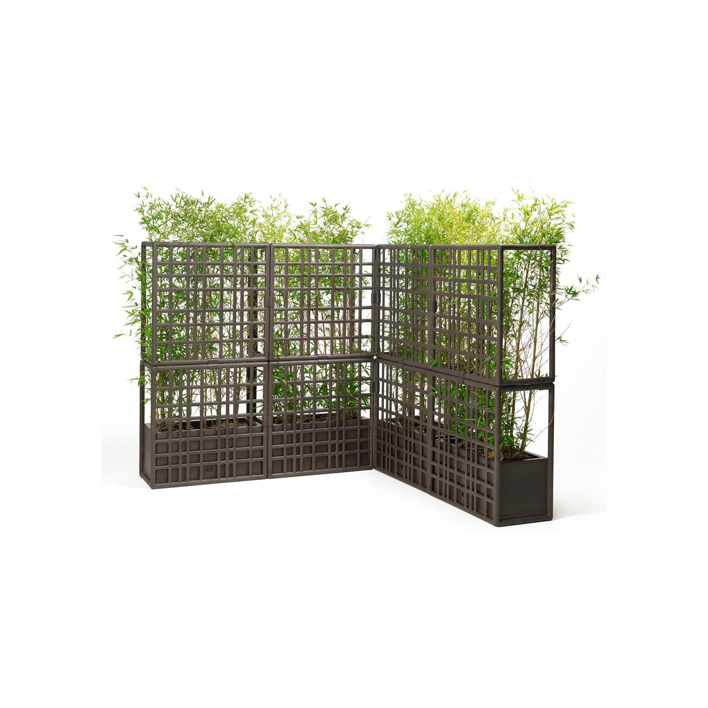 SIPARIO 3 ŚCIANA TERRA