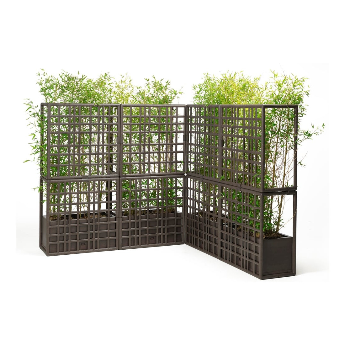 CURTAIN 3 ŚCIANA TERRA