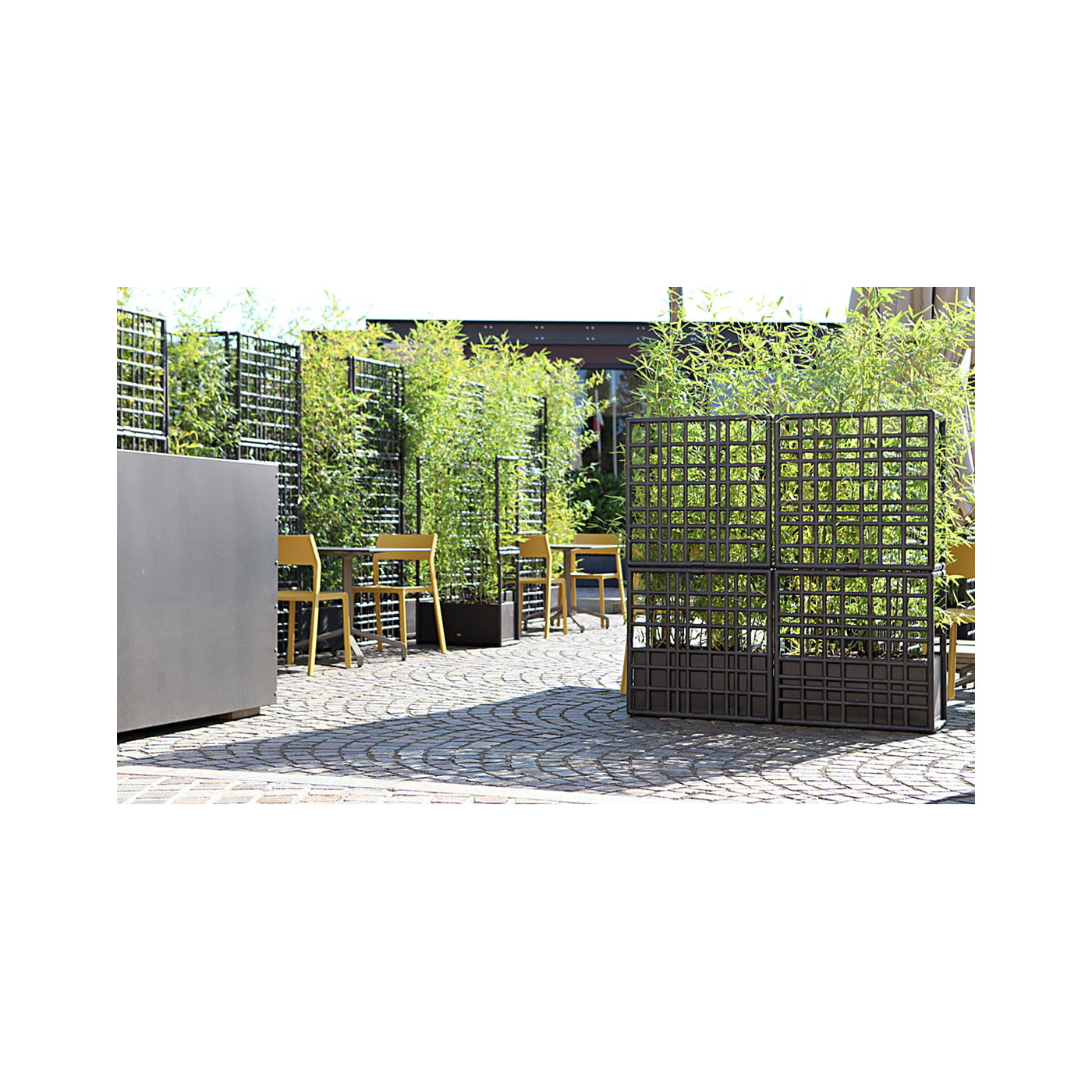 SIPARIO 3 ŚCIANA TERRA