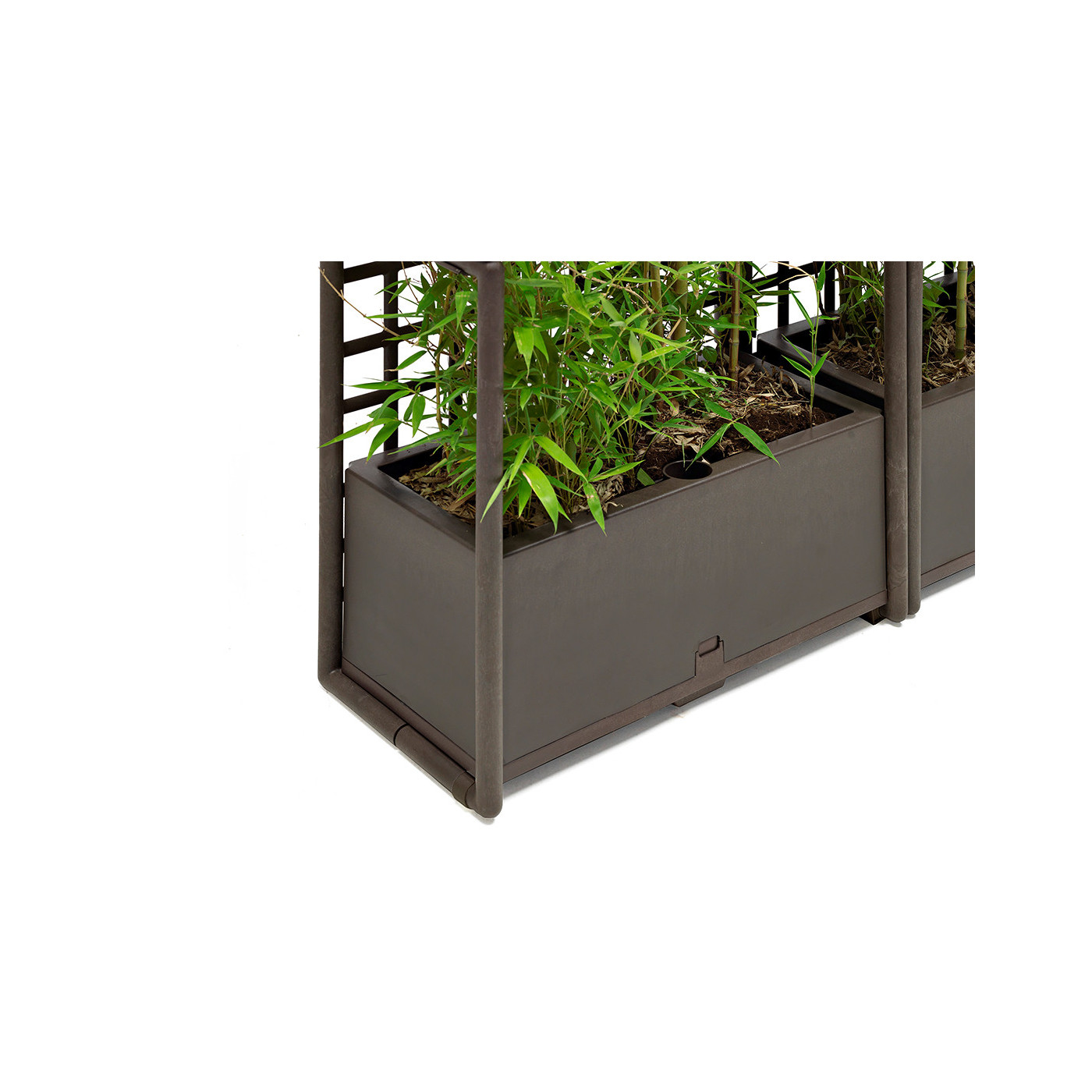 CURTAIN 2 WALL EARTH