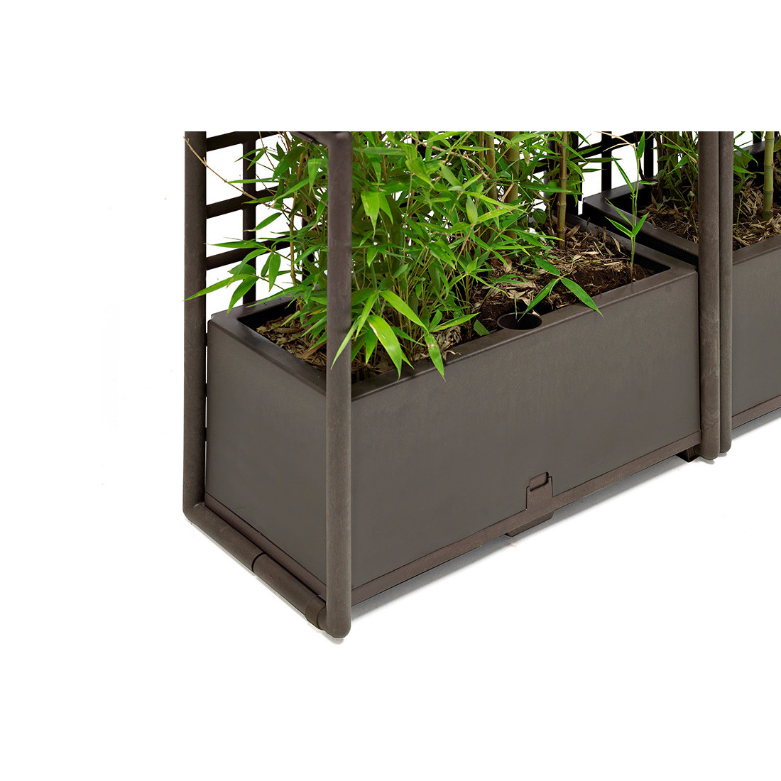 CURTAIN 2 WALL EARTH