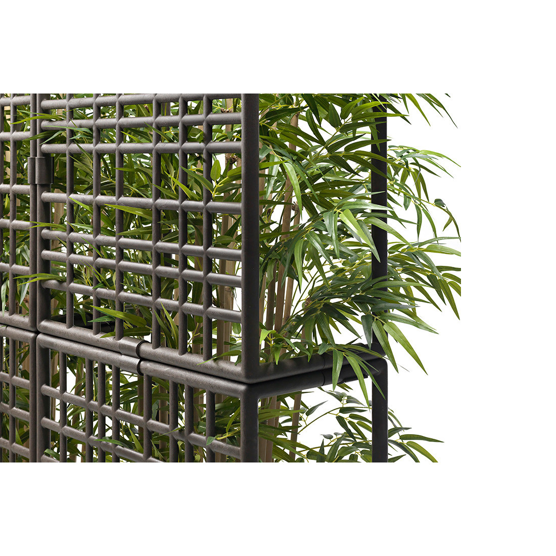 CURTAIN 2 WALL EARTH