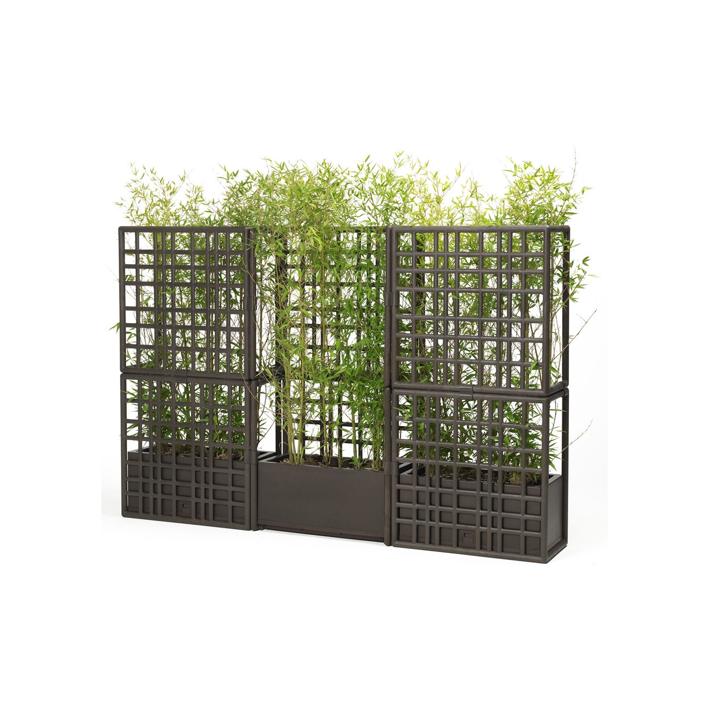 CURTAIN 2 WALL EARTH