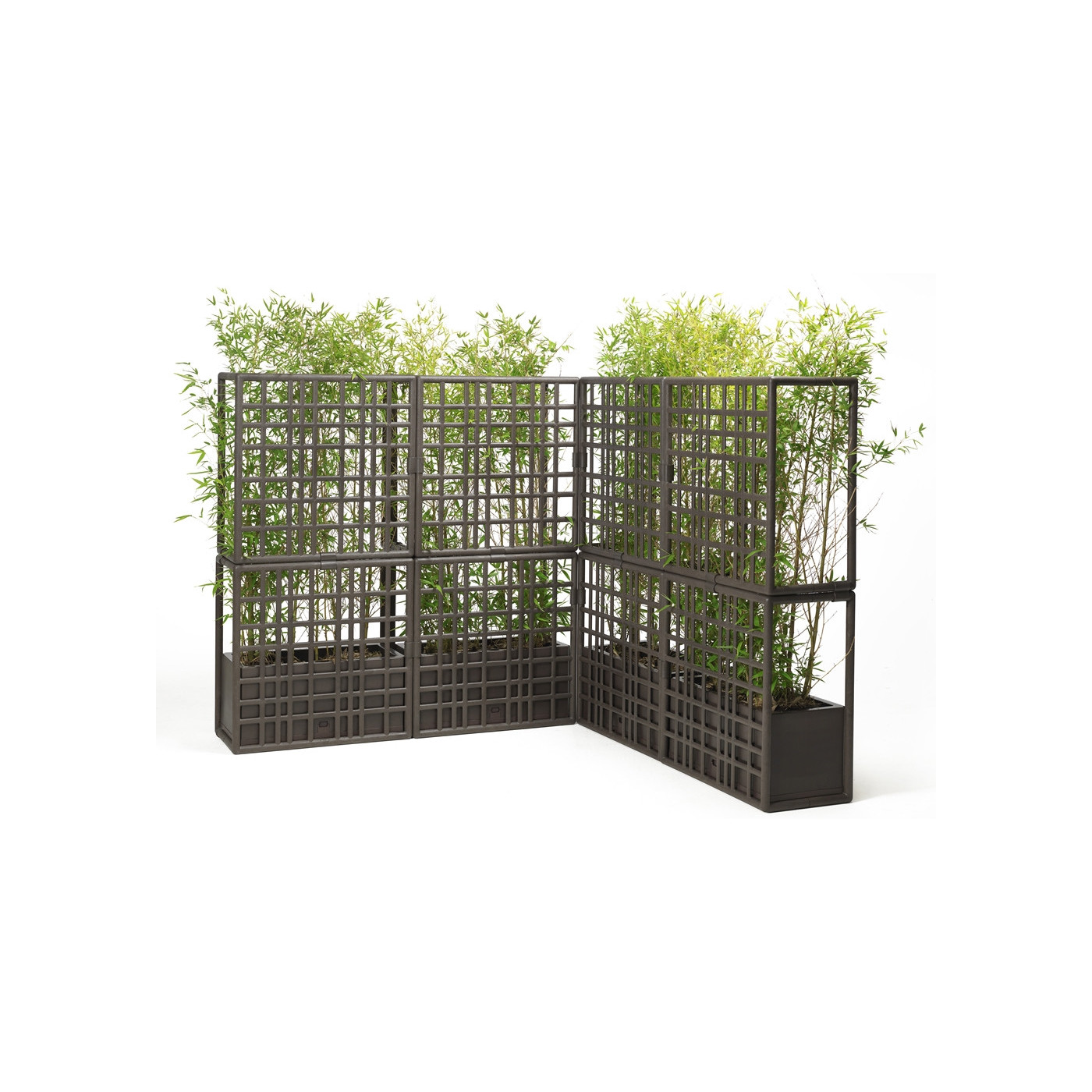 CURTAIN 2 WALL EARTH