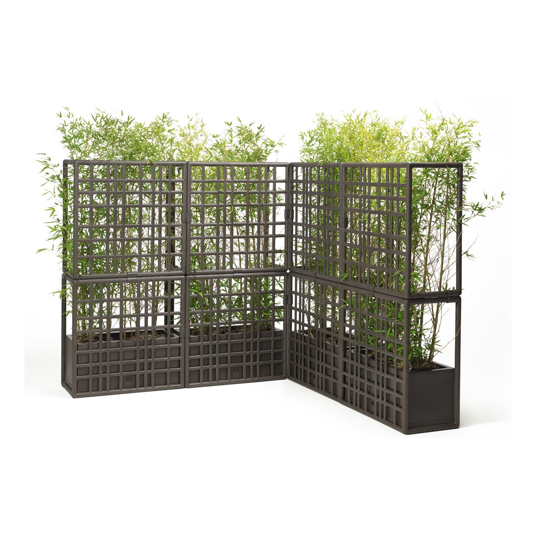 CURTAIN 2 WALL EARTH