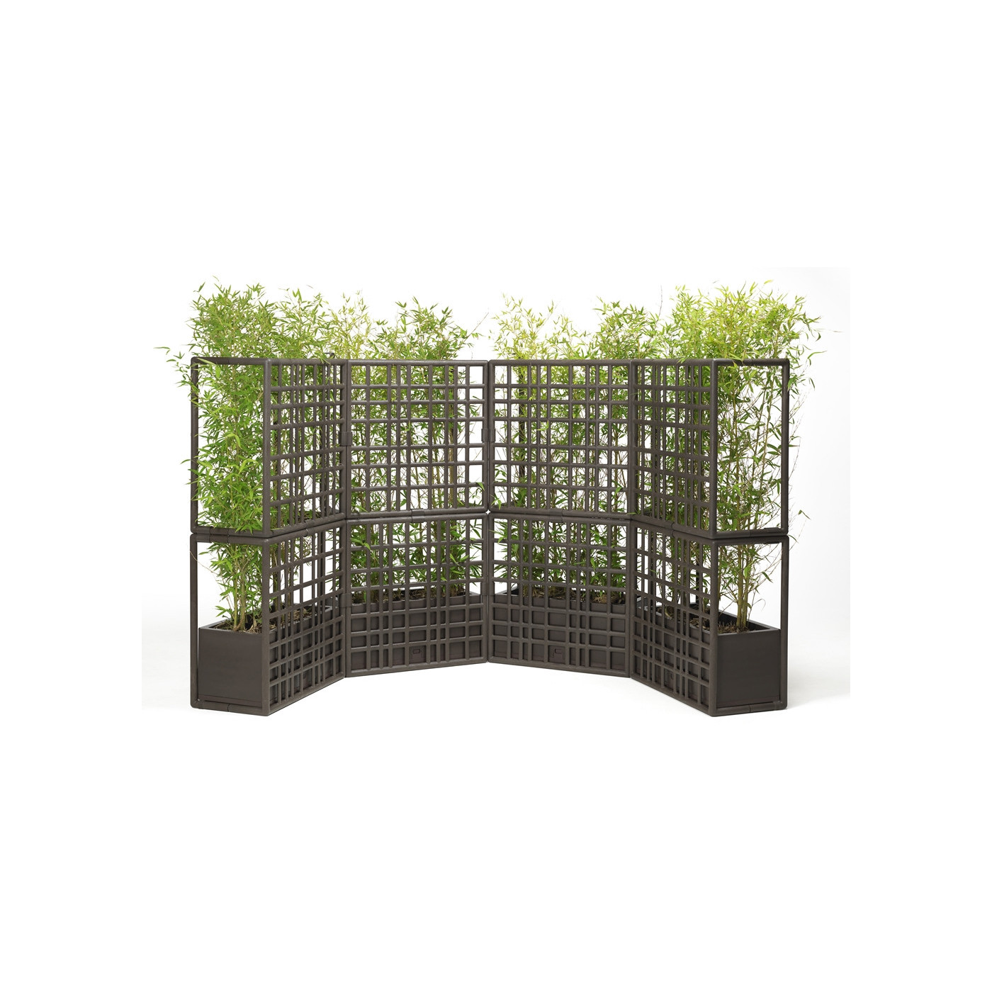 CURTAIN 2 WALL EARTH