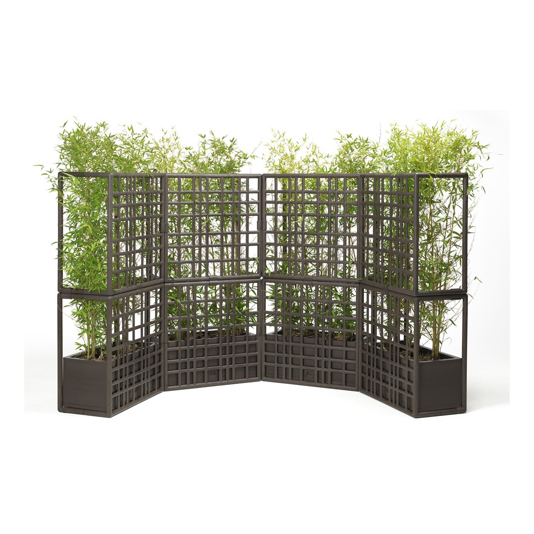 CURTAIN 2 WALL EARTH