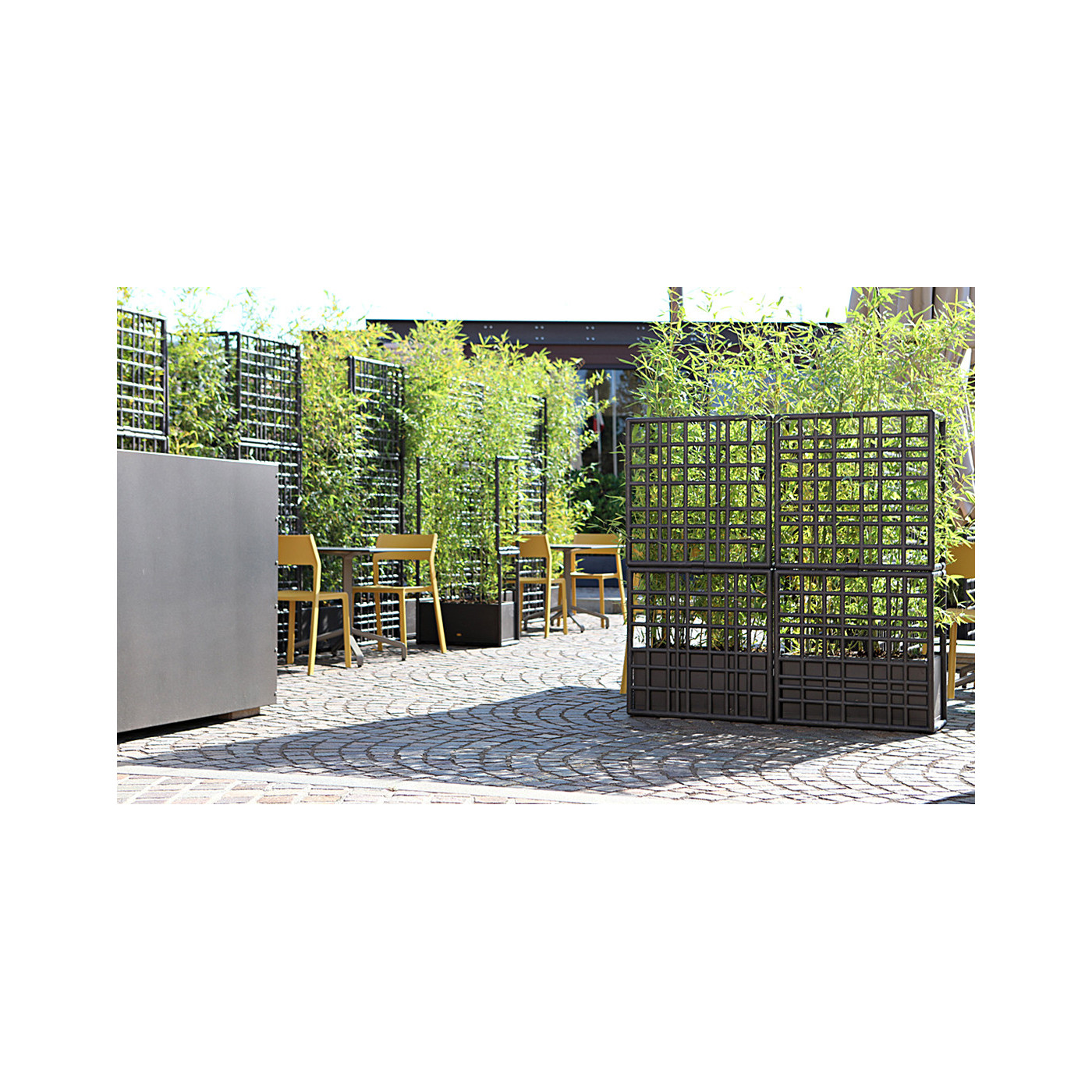 CURTAIN 2 WALL EARTH