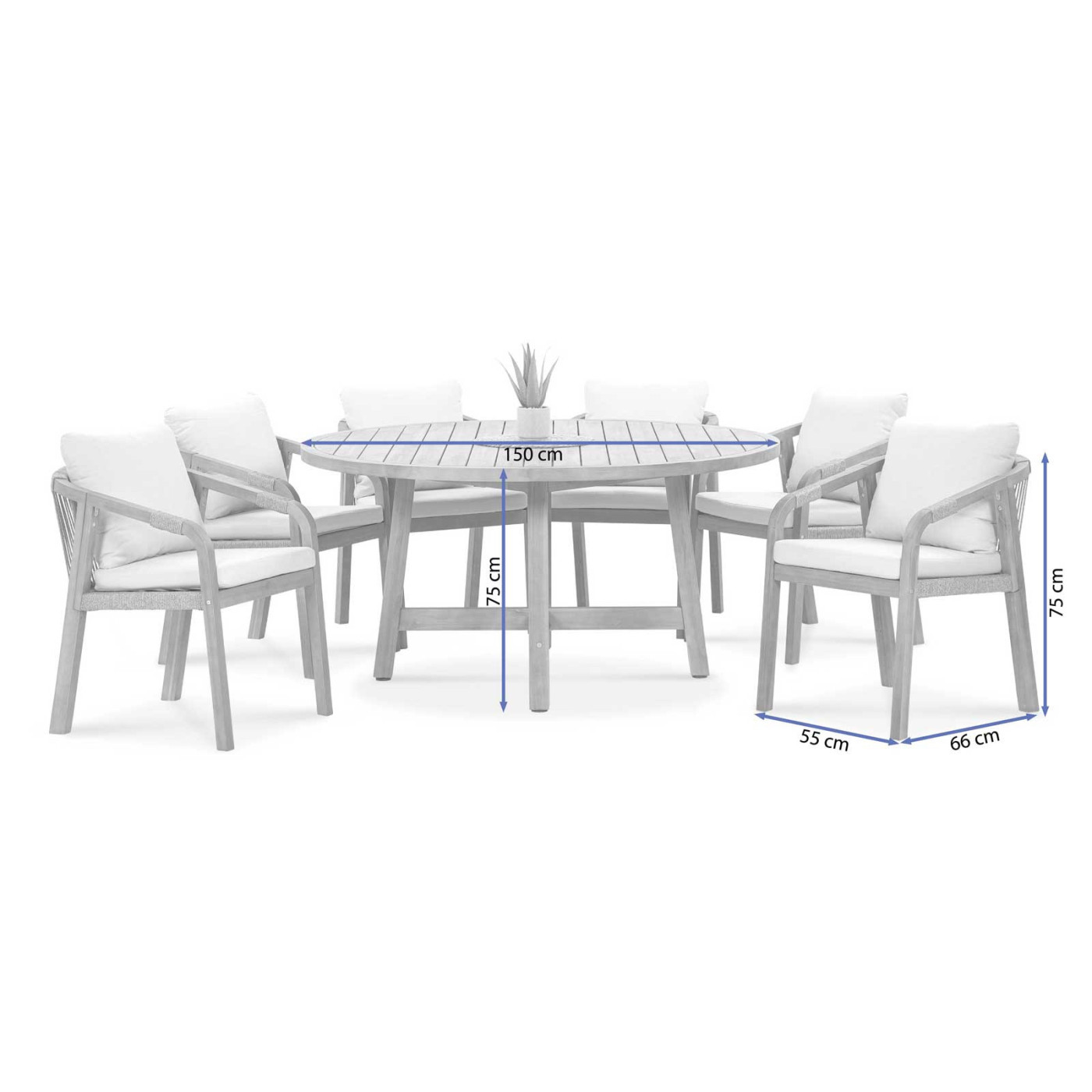 MARIGOLD 6+1 ROUND SET