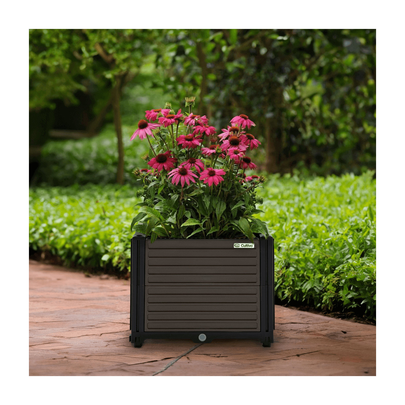 Aranżacja Brązowa skrzynia do upraw cultivo 