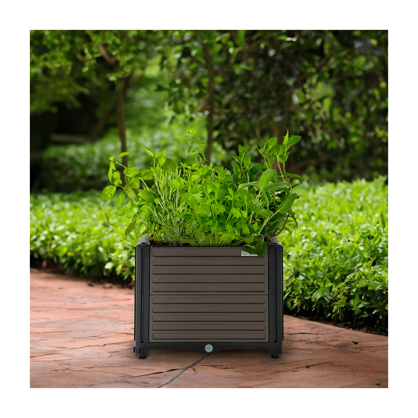 Aranżacja na ogrodzie kwiatów zasadzonych w skrzyni uprawowej Grow Box S