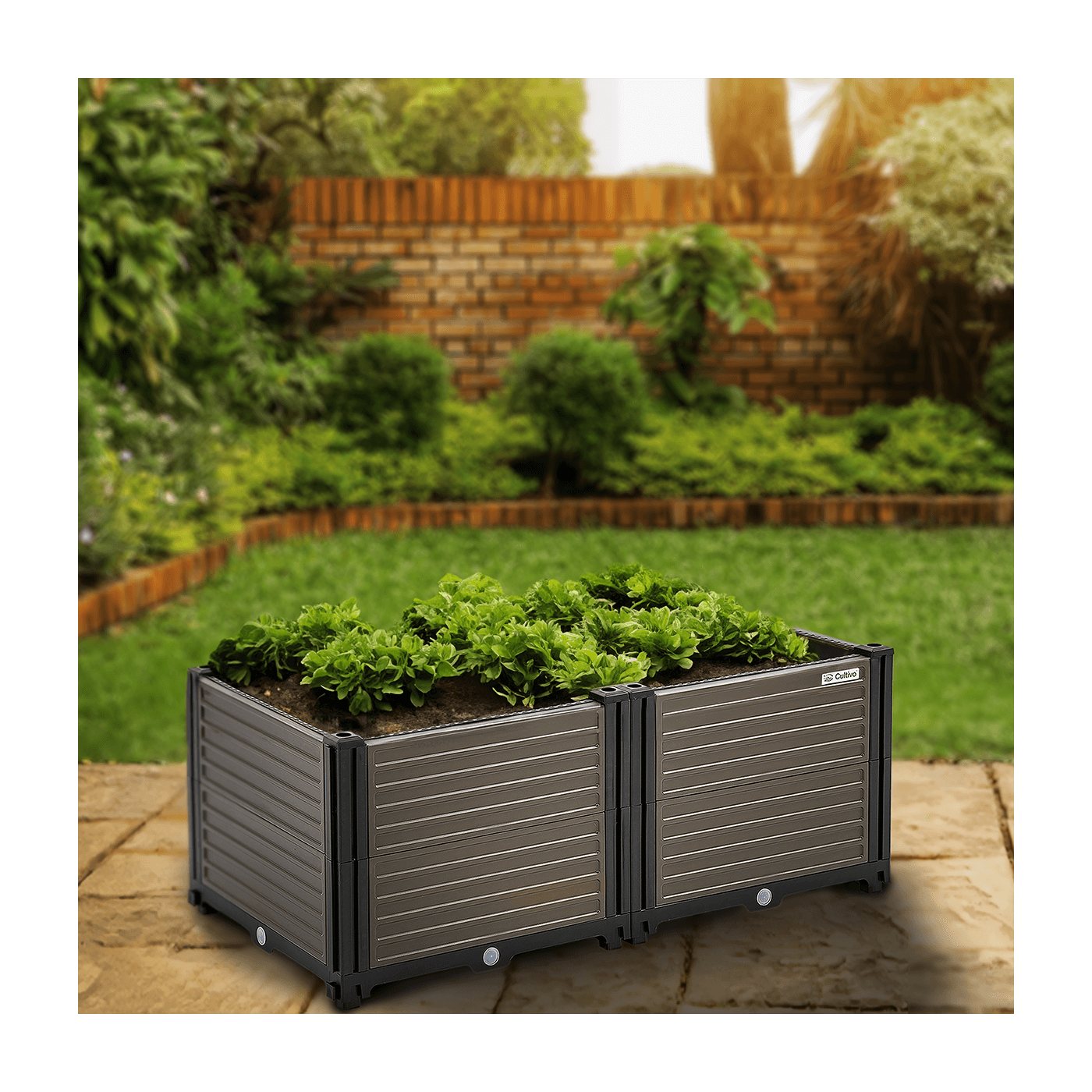 aranżacja skrzymi uprawowej cultivo 82x41x31cm w ogrodzie 