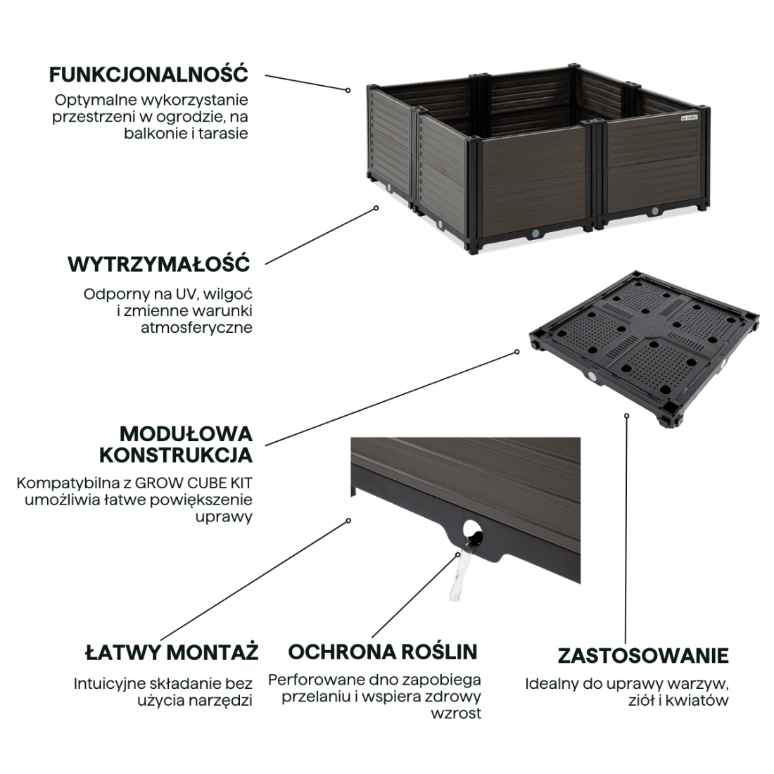Przód pudełka od Cultivo na rośliny