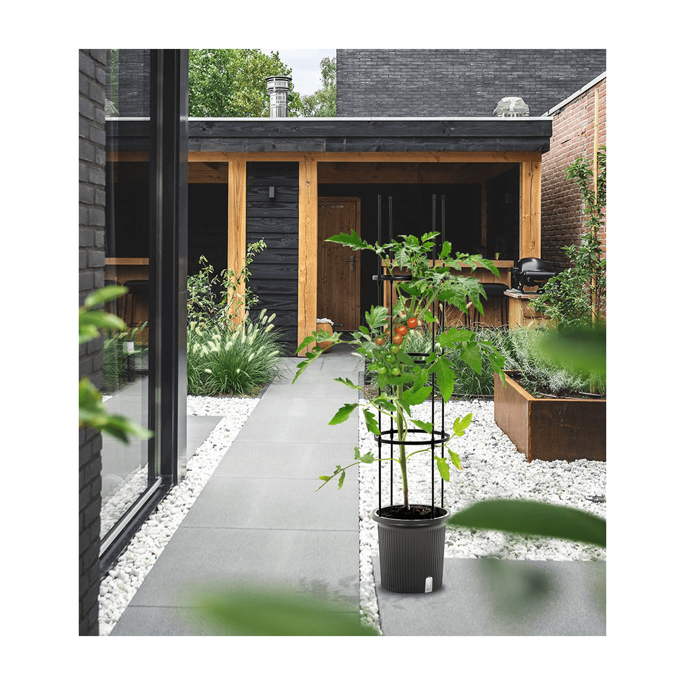 Aranżacja na ogrodzie doniczki i stojaka do uprawy pomidorów TOMATO TUBE