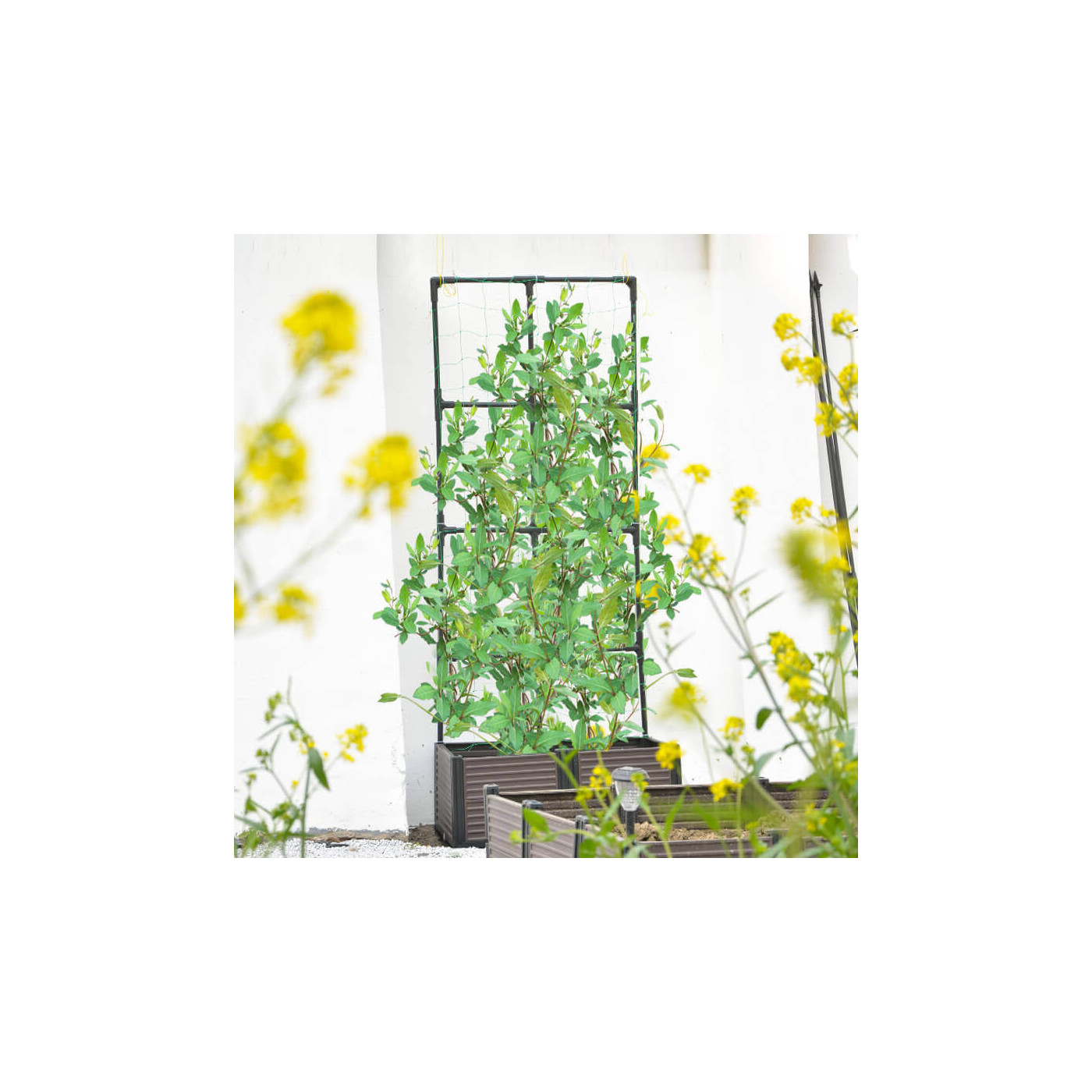 Wizualizacja skrzynki uprawowej z roślinami i płaskim stojakiem