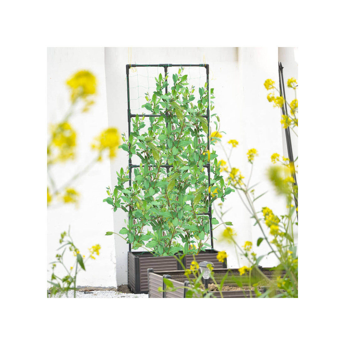 Wizualizacja skrzynki uprawowej z roślinami i płaskim stojakiem