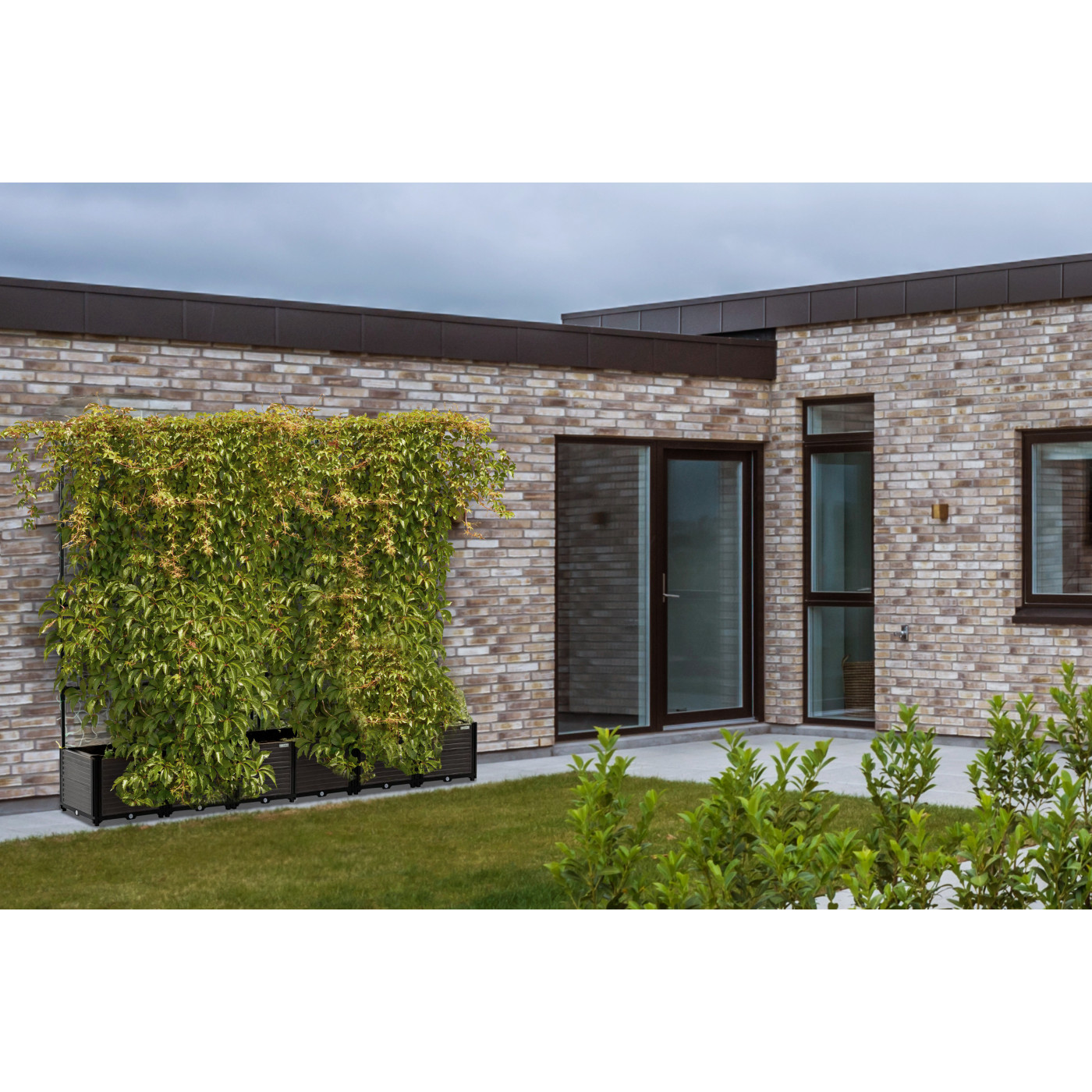 Aranżacja skrzyni uprawowej cultivo grow flat set L