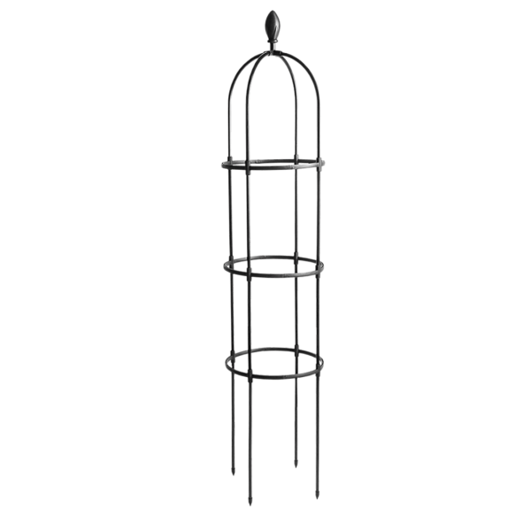 Pergola na rośliny pnące