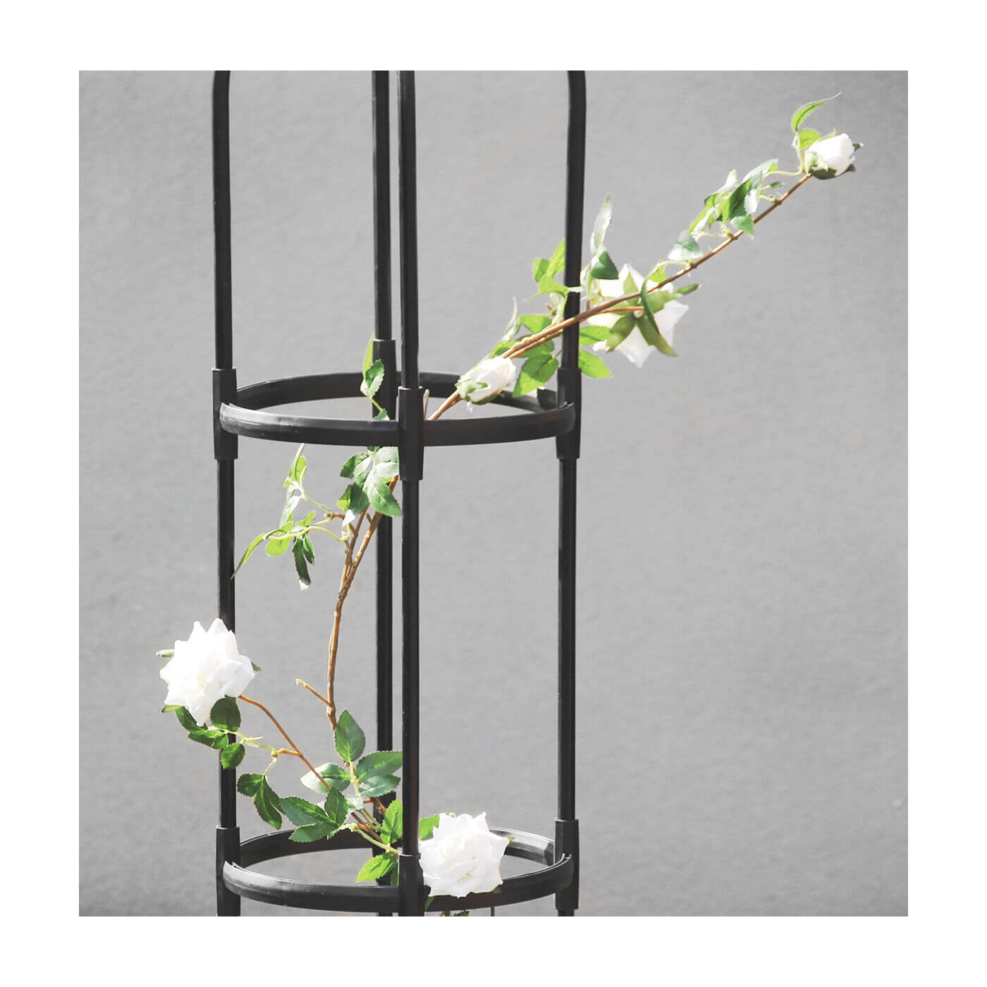 Czarny stojak wspierający rozwój roślin