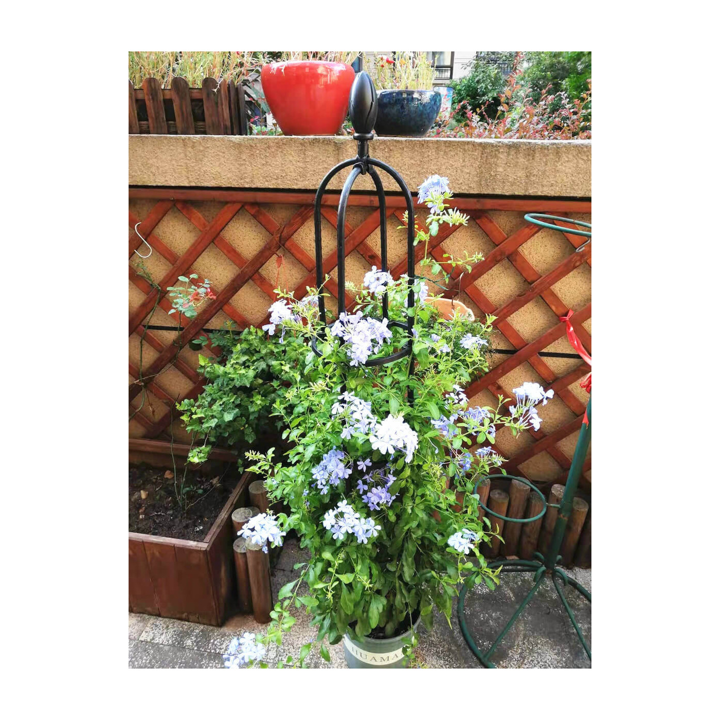 Aranżacja eleganckiej pergoli z roślinami