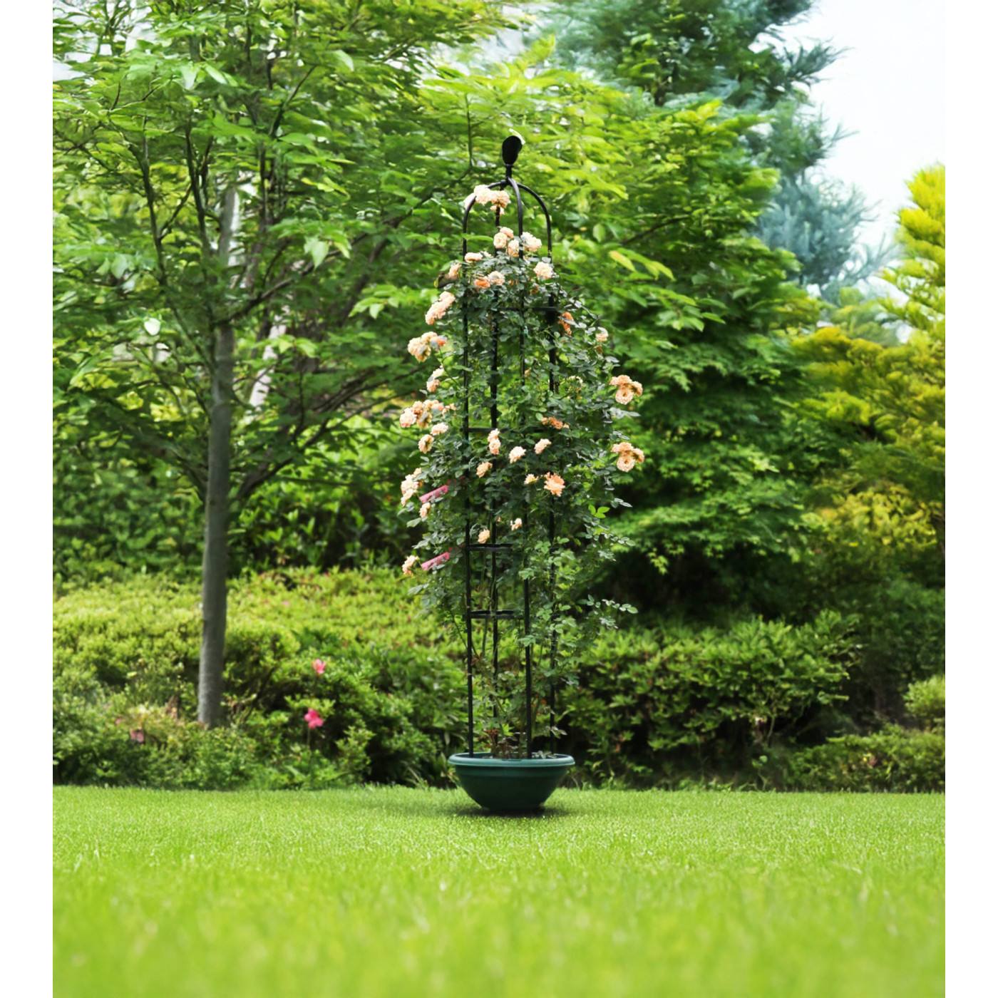 Aranżacja eleganckiej pergoli z roślinami w ogrodzie cultivo 210 cm 