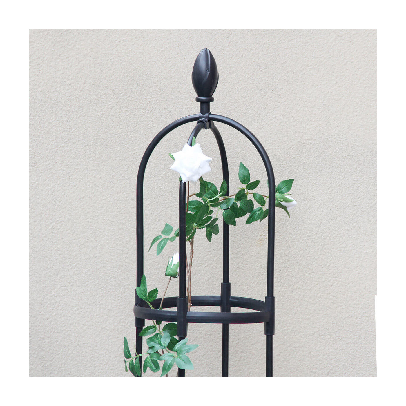 Widok na górną część pergoli na róże