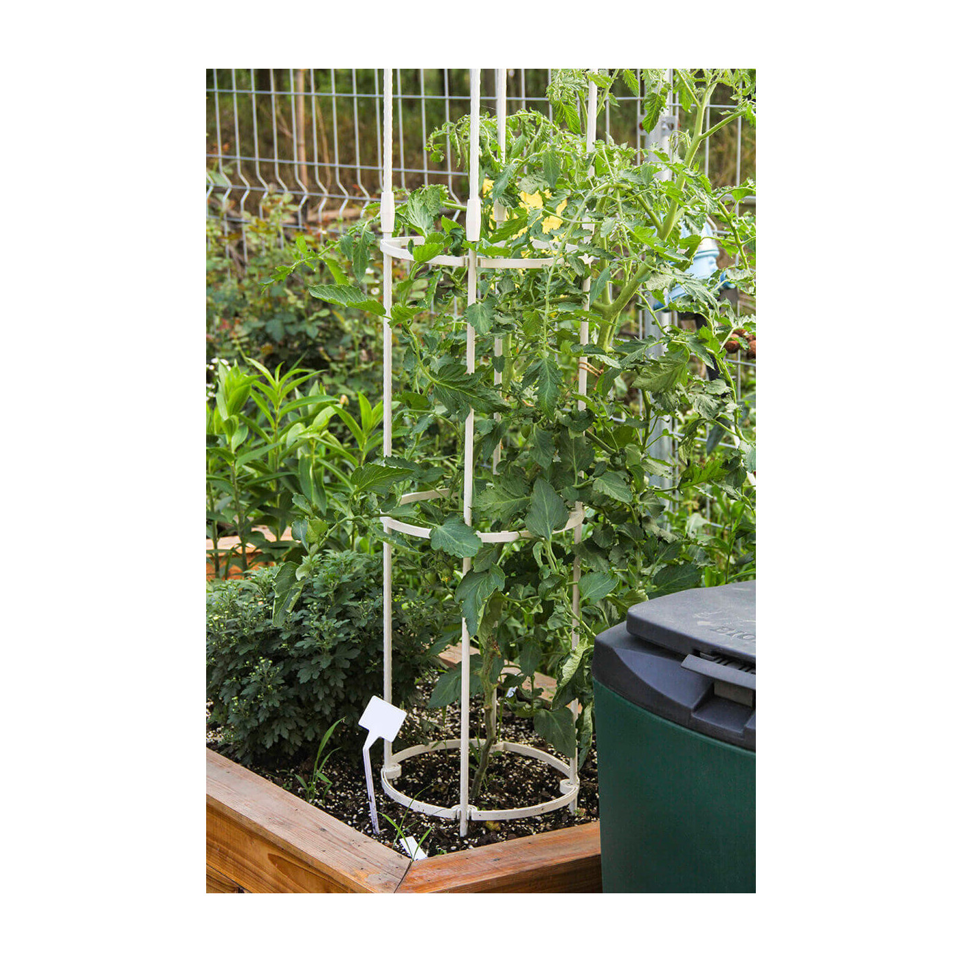 Aranżacja Biała pergola na róże, wys. 180cm, metalowa - Cultivo kolor biały 