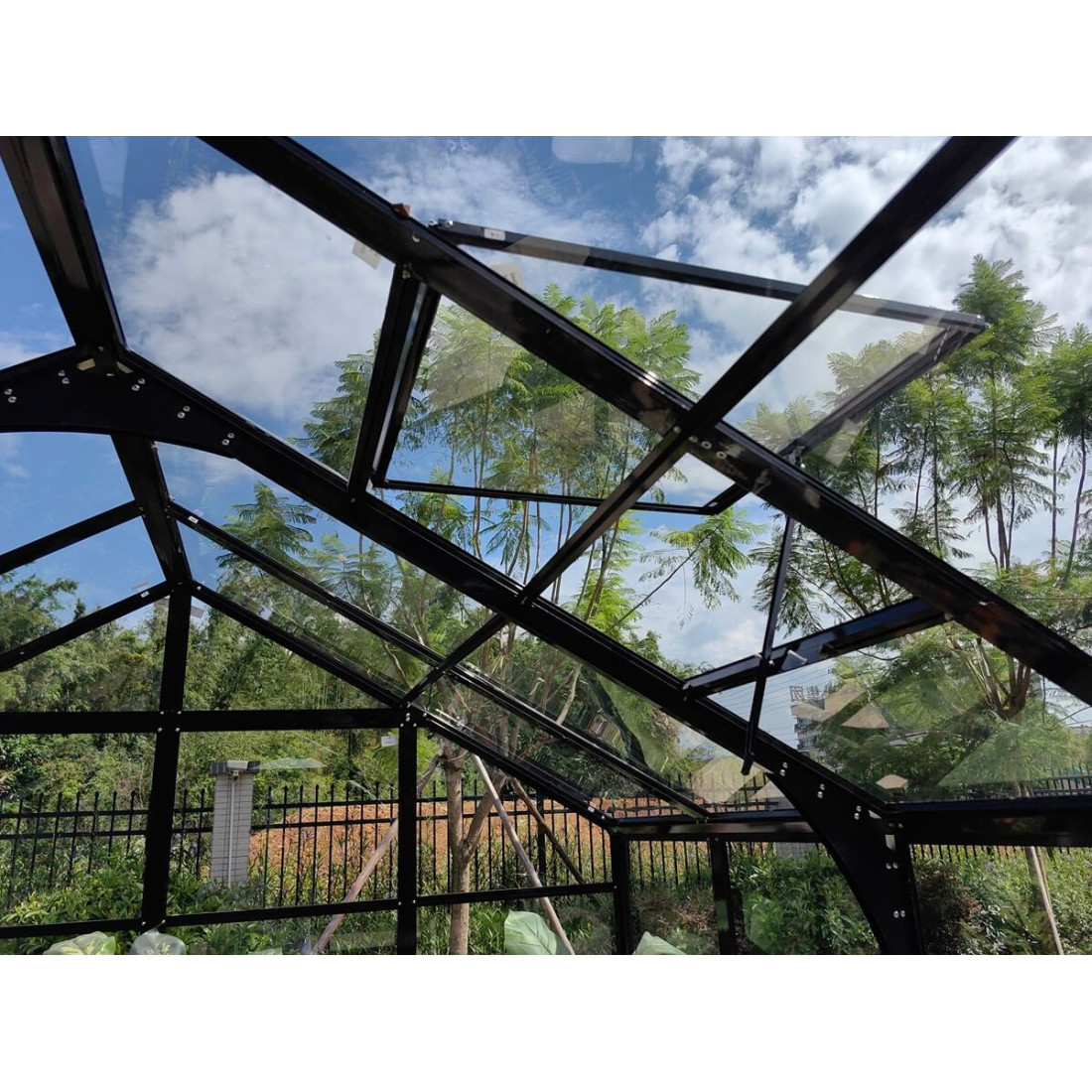 Wymiary szklarni Solid PC Cultivo 278x278cm w kolorze czarnym