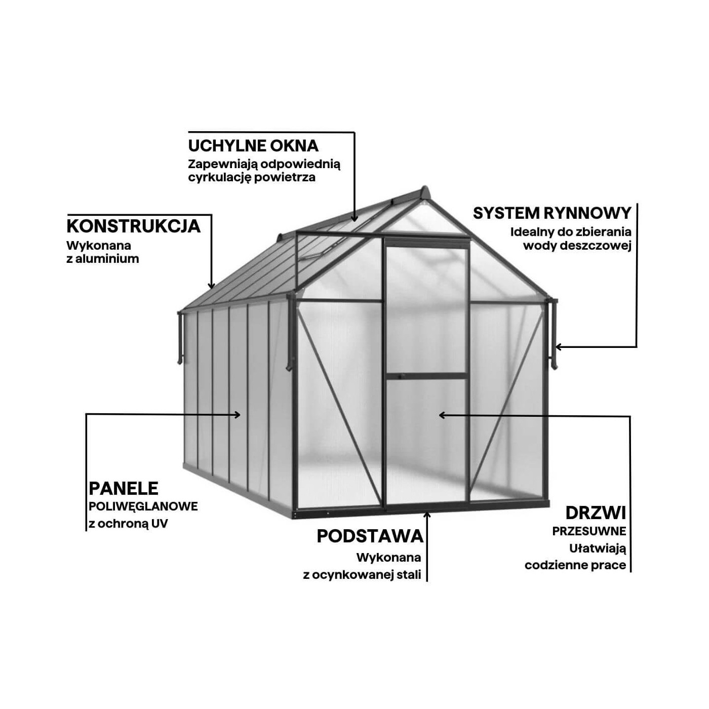bok czarnej szklarni na pomidory z poliwęglanu