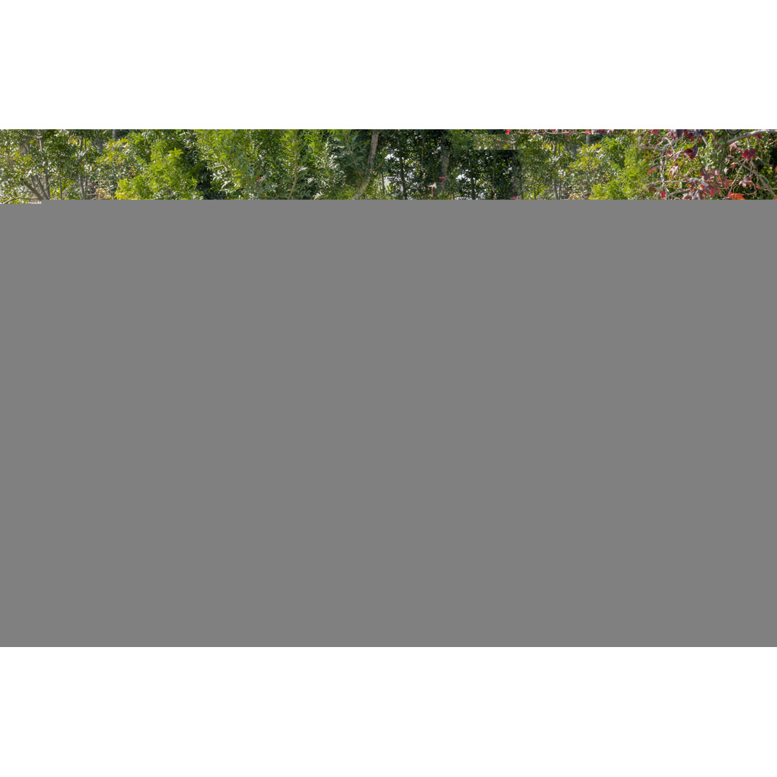 1.8M BROWN FENCE SOFT SUBSTRATE 240