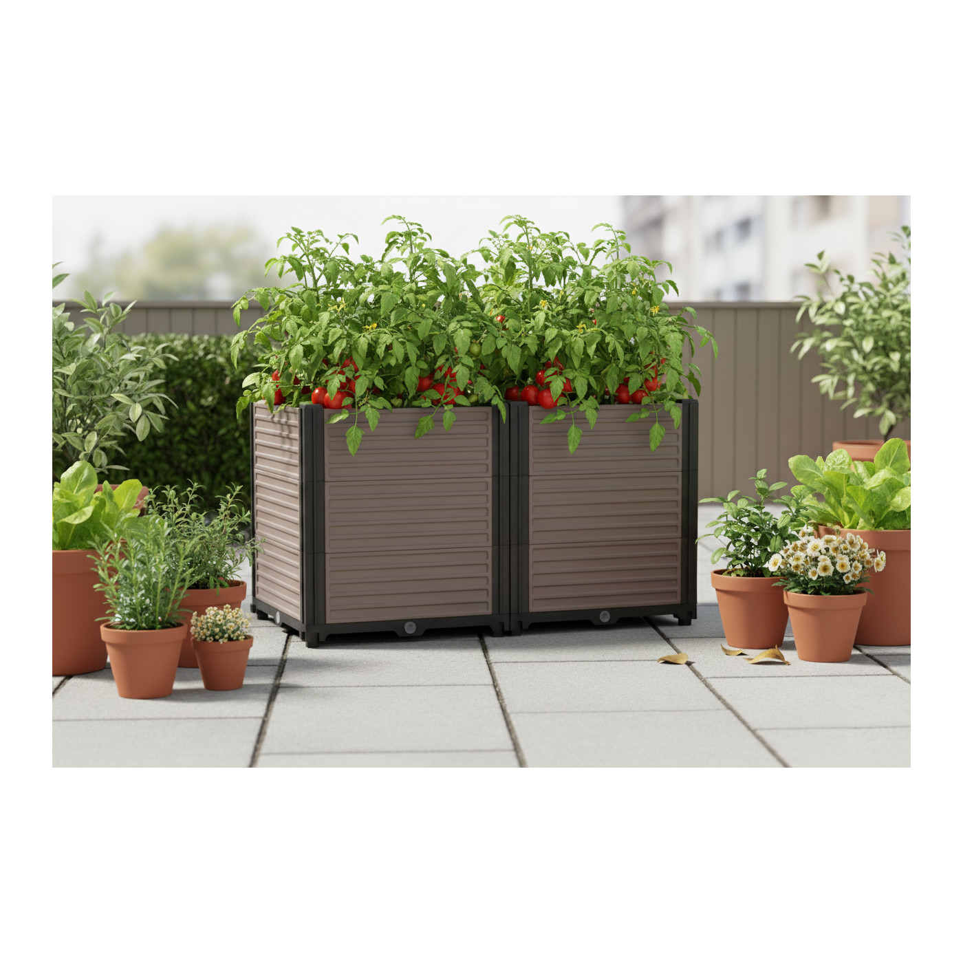 CULTIVATION BOX 82x41x45CM