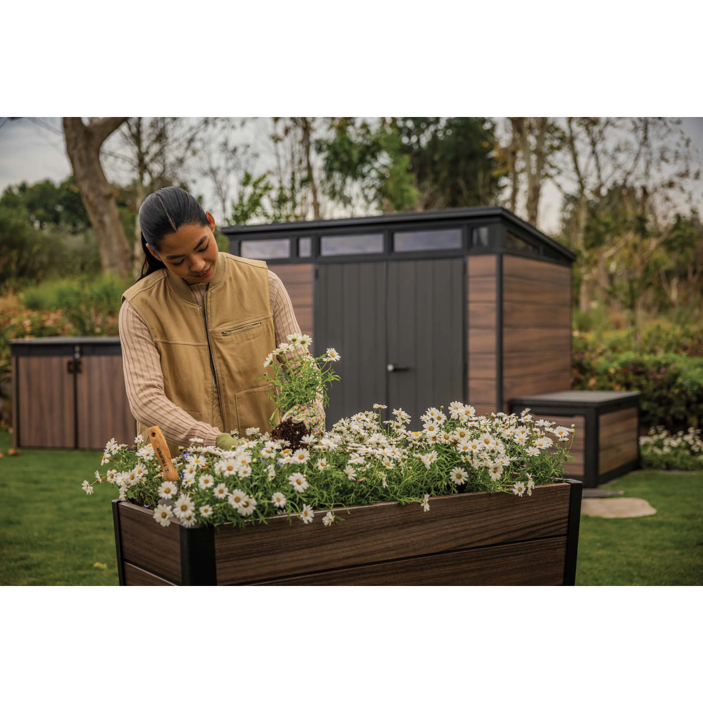 DECO WALNUT CULTIVATION BOX